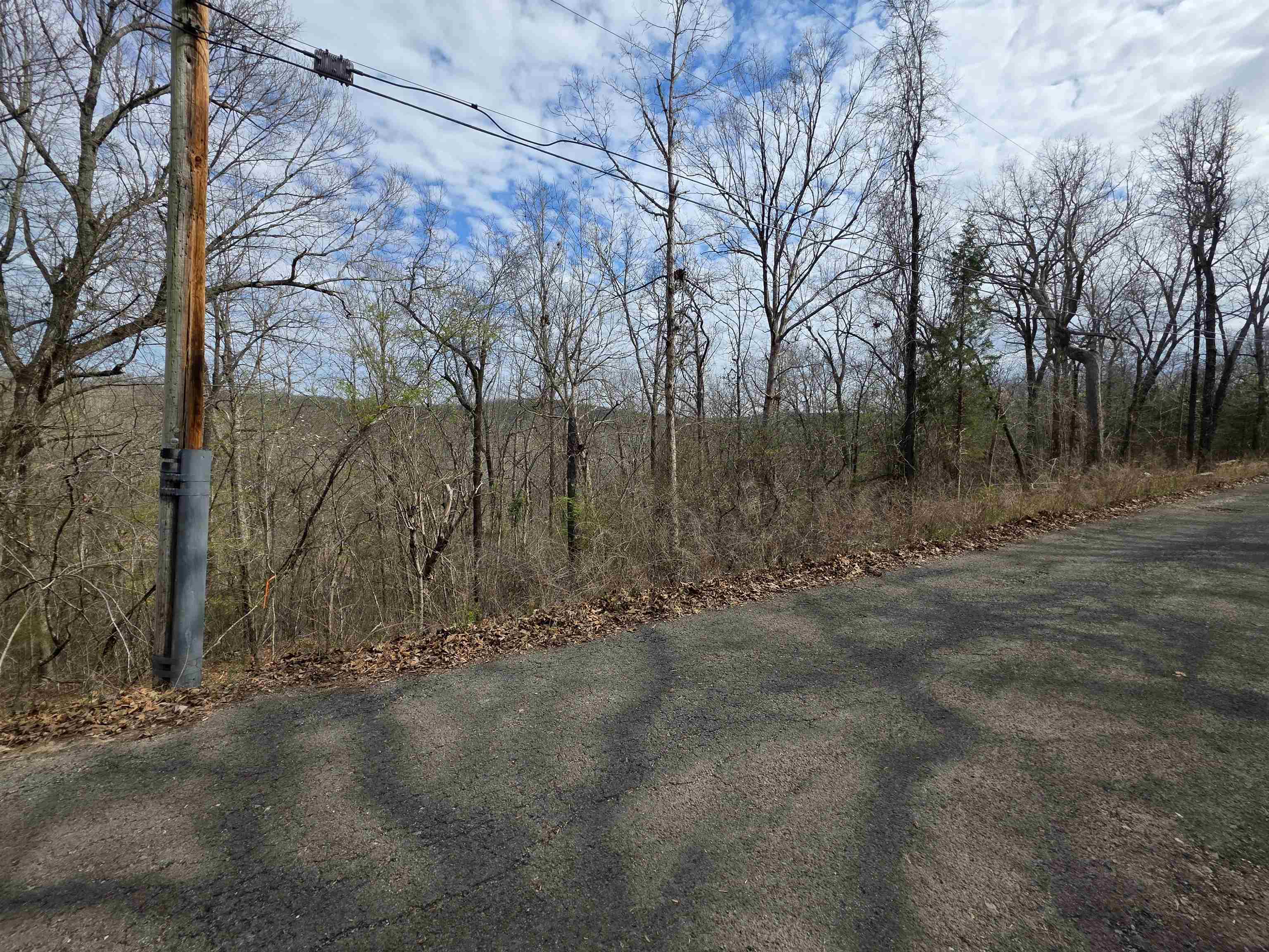 L-12 B-4 Will Scarlet Drive Property Photo 2