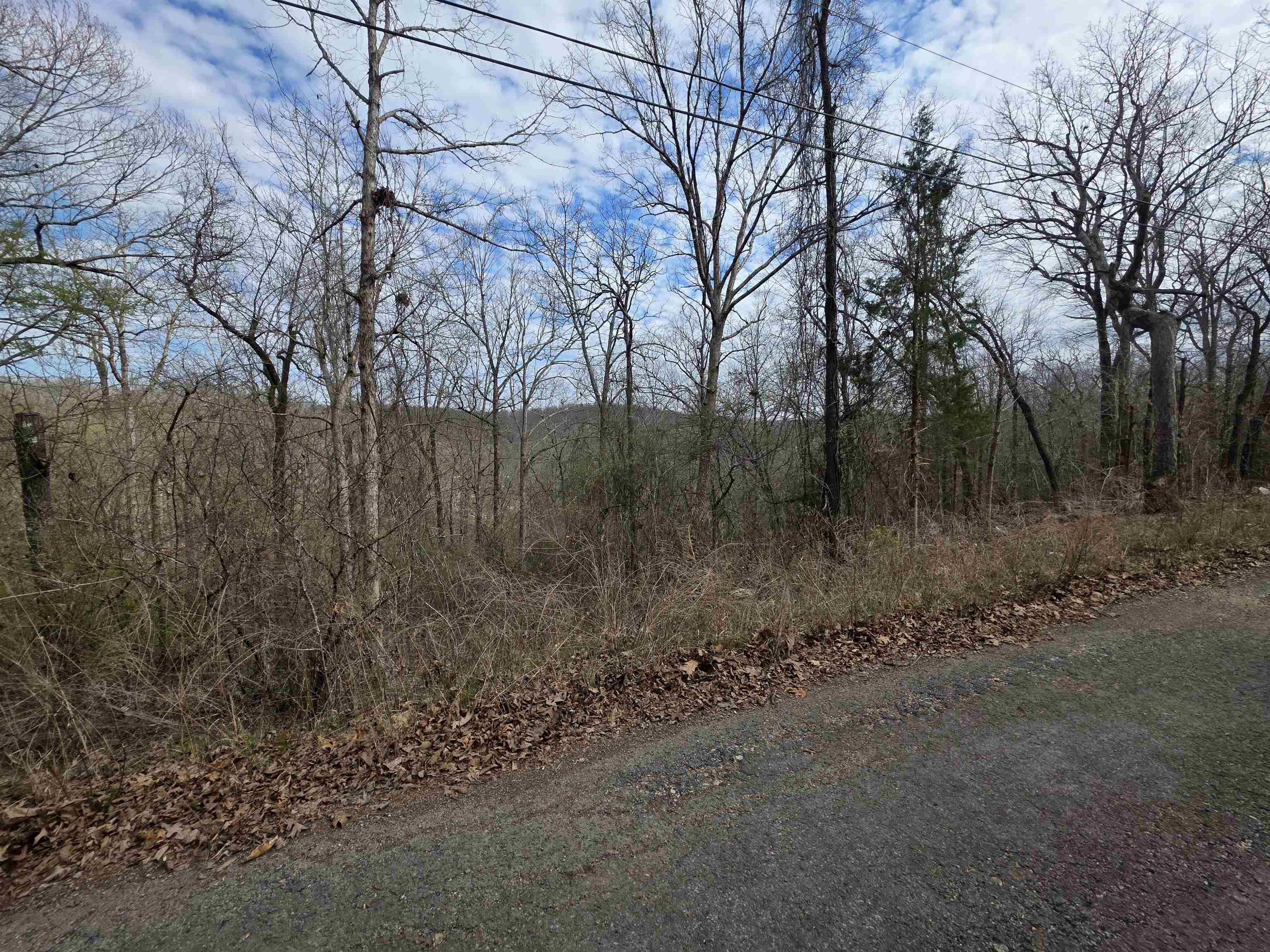 L-12 B-4 Will Scarlet Drive Property Photo 4