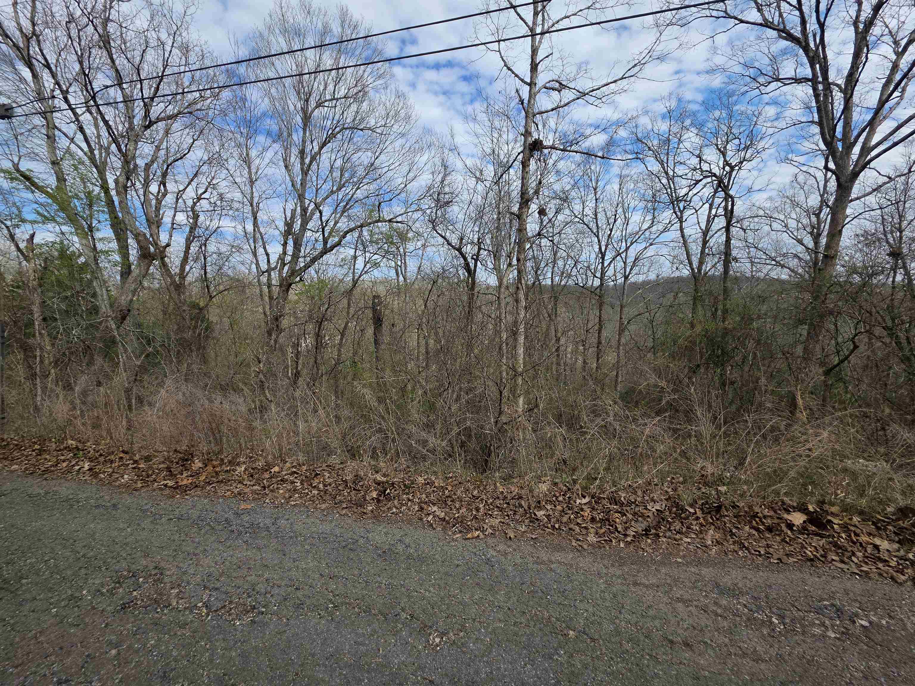 L-12 B-4 Will Scarlet Drive Property Photo 5