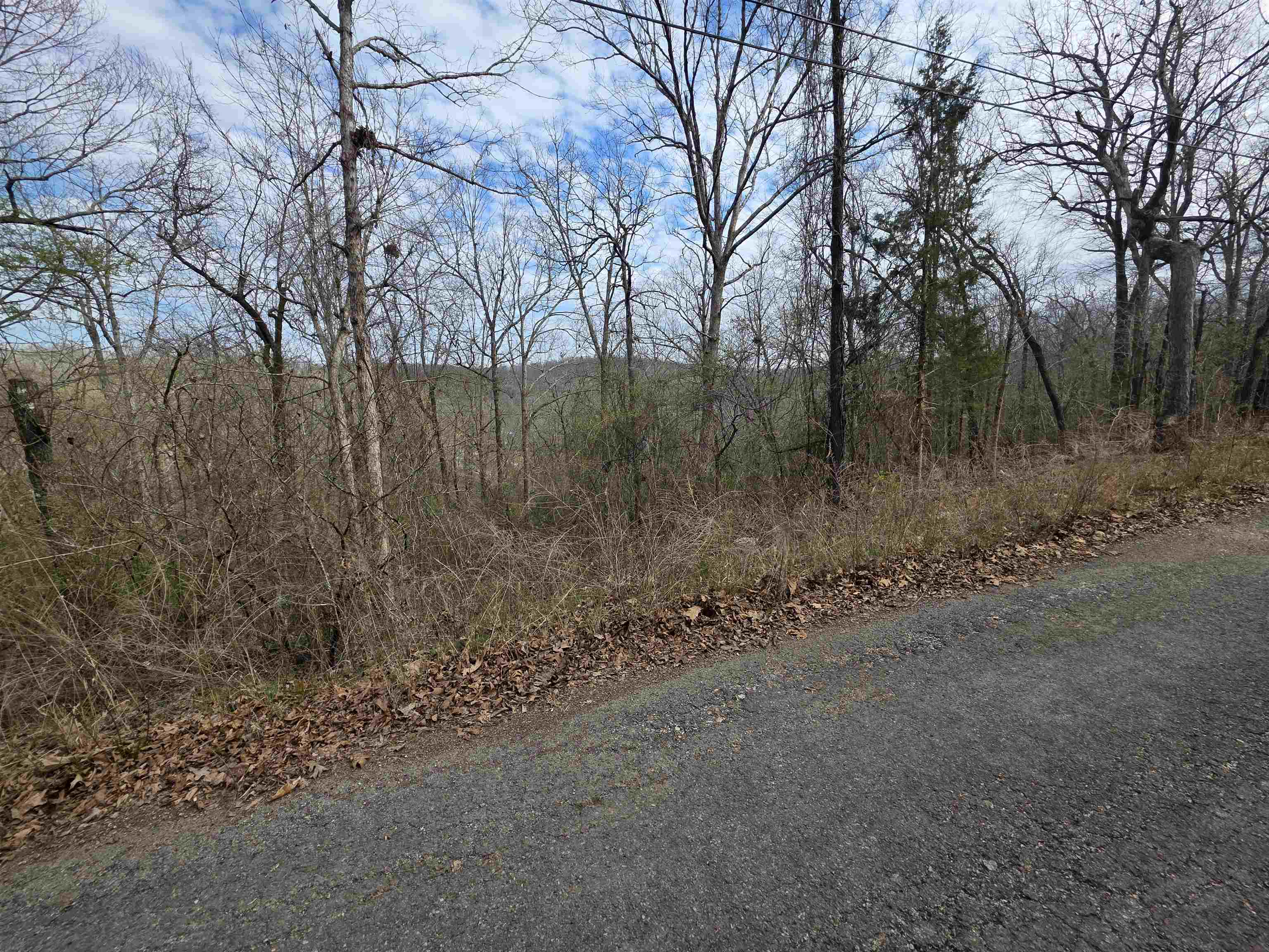 L-12 B-4 Will Scarlet Drive Property Photo 7