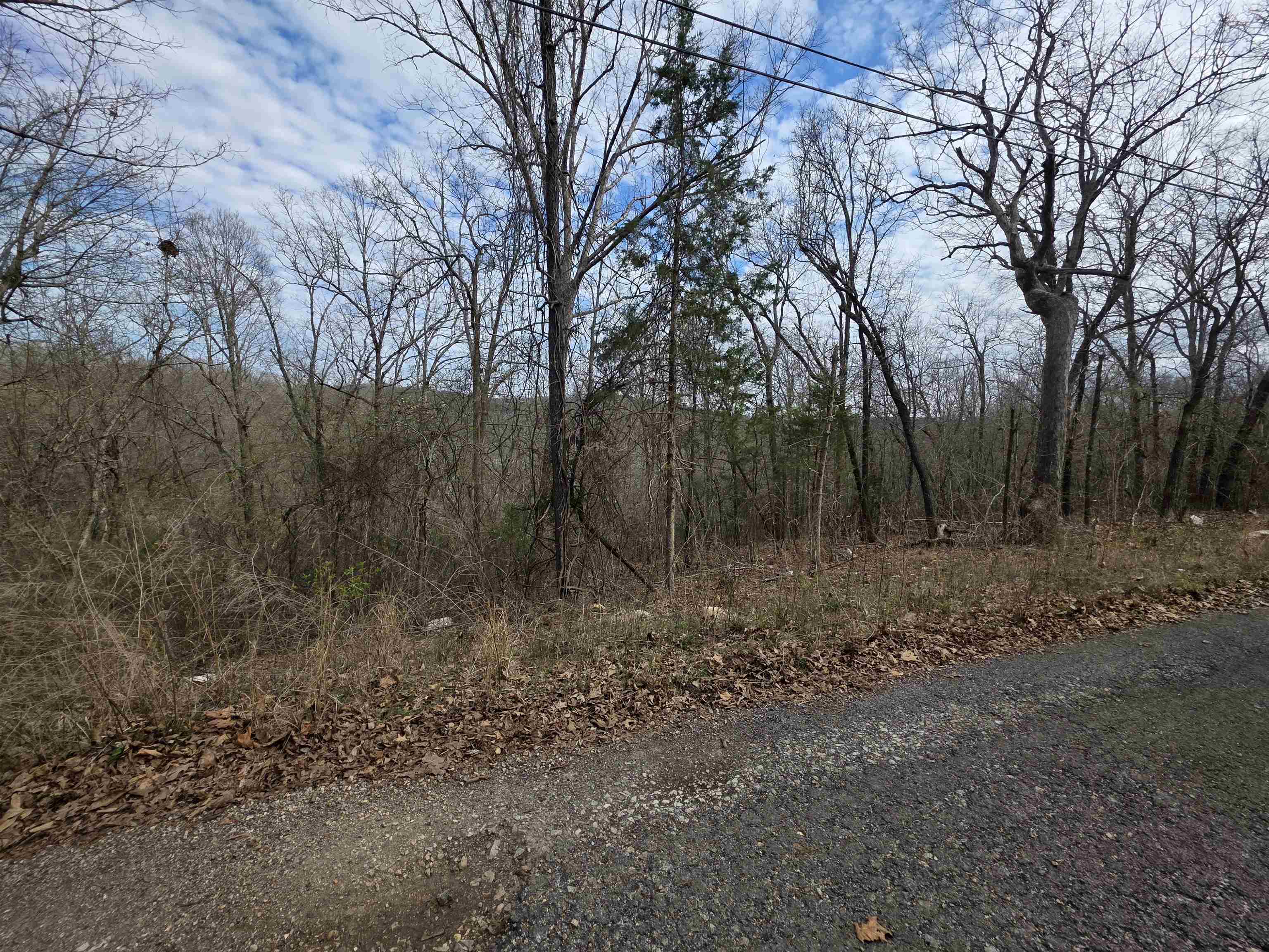 L-12 B-4 Will Scarlet Drive Property Photo 8