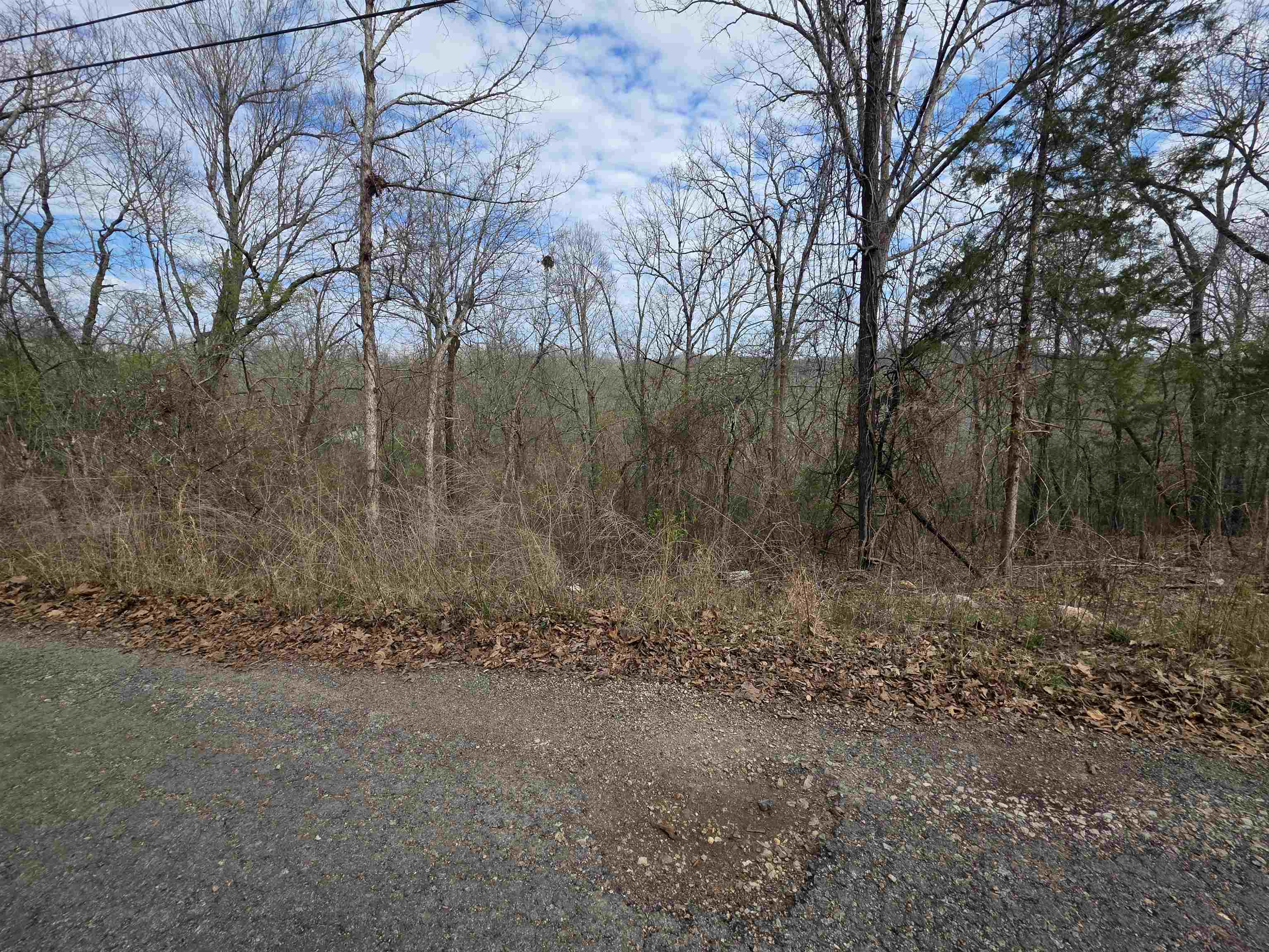 L-12 B-4 Will Scarlet Drive Property Photo 9