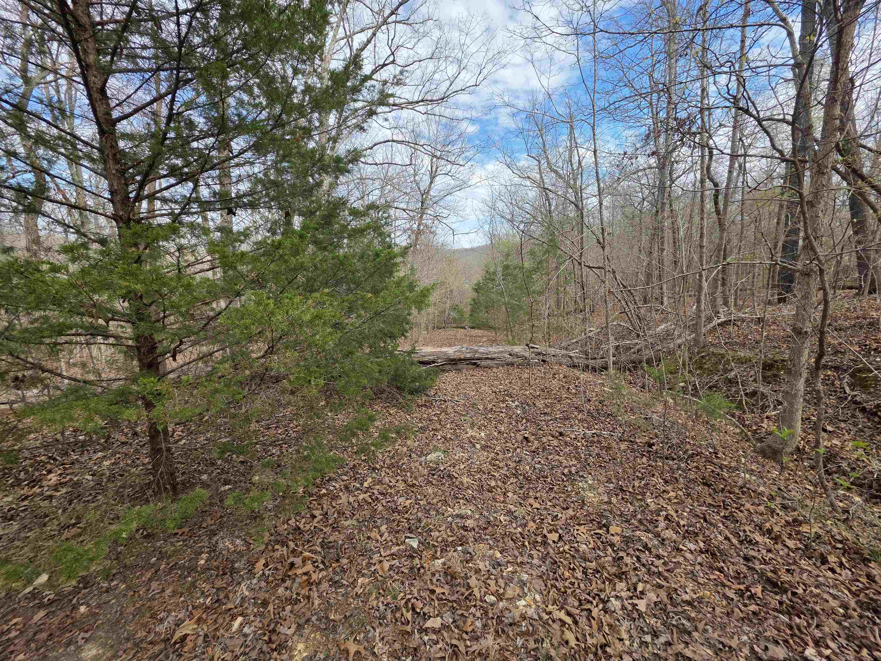 L-42 B-1 Robin Hood Lane Property Photo 6