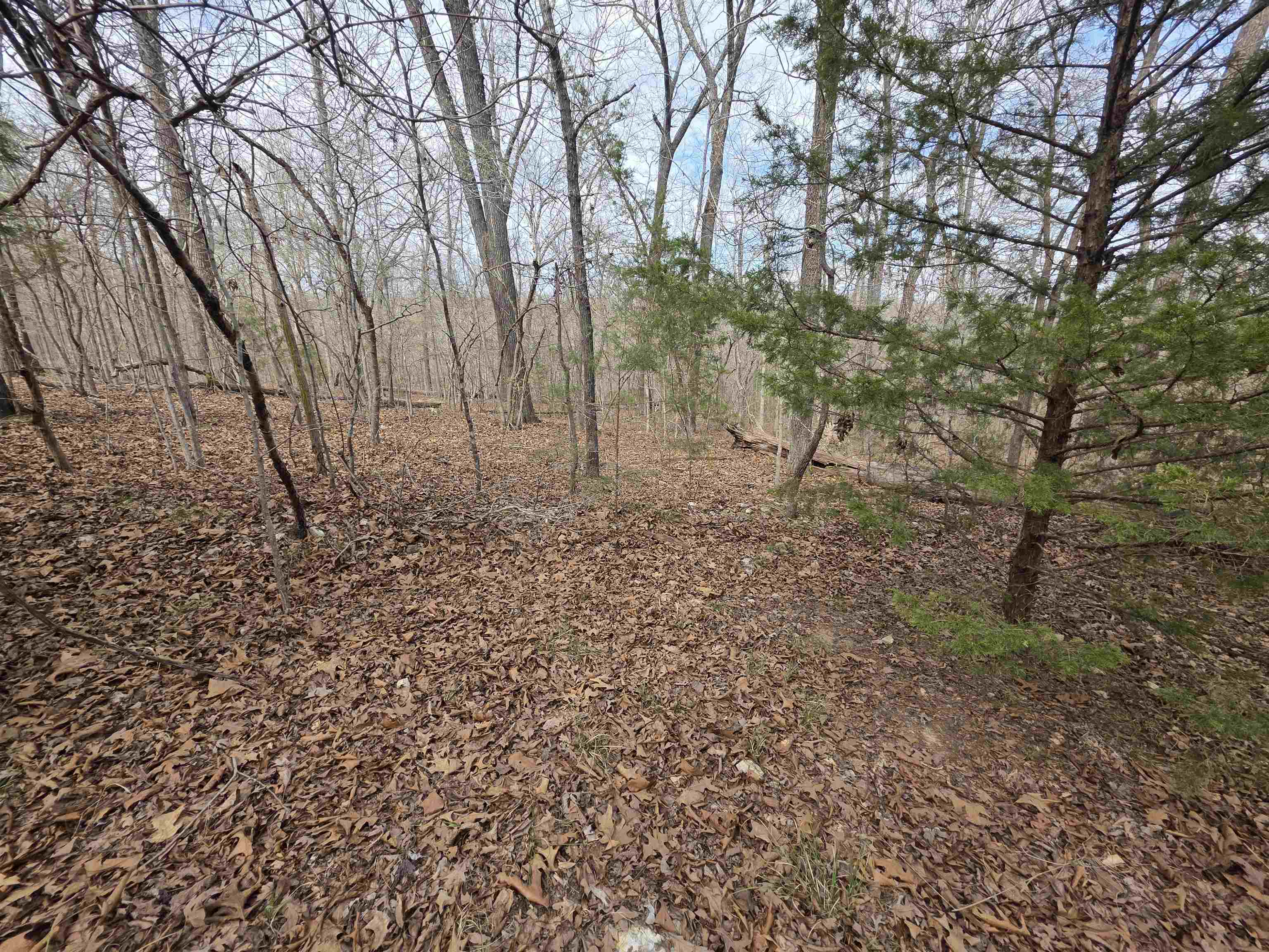 L-42 B-1 Robin Hood Lane Property Photo 7