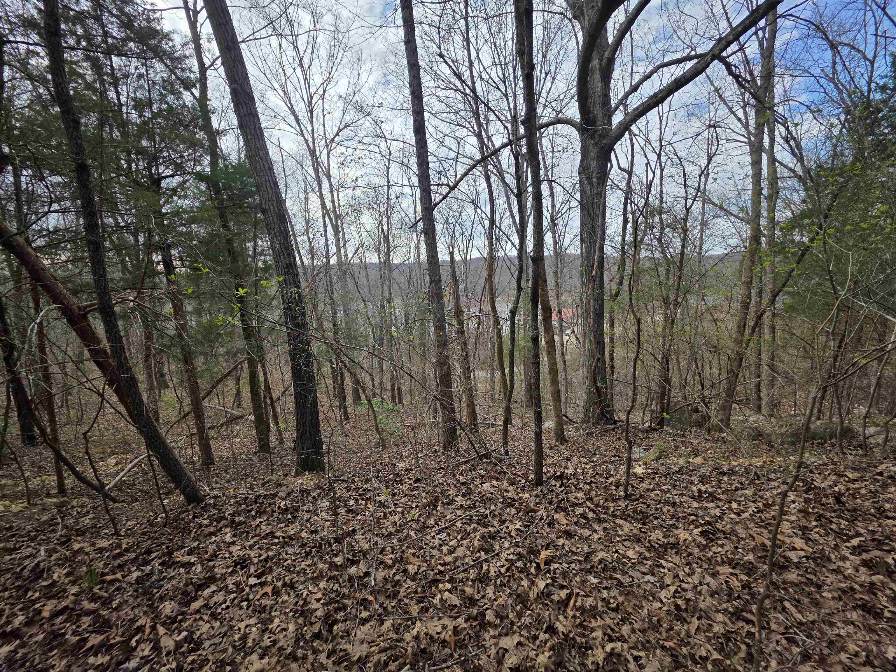 L-24 B-7 Steves Road Property Photo 1