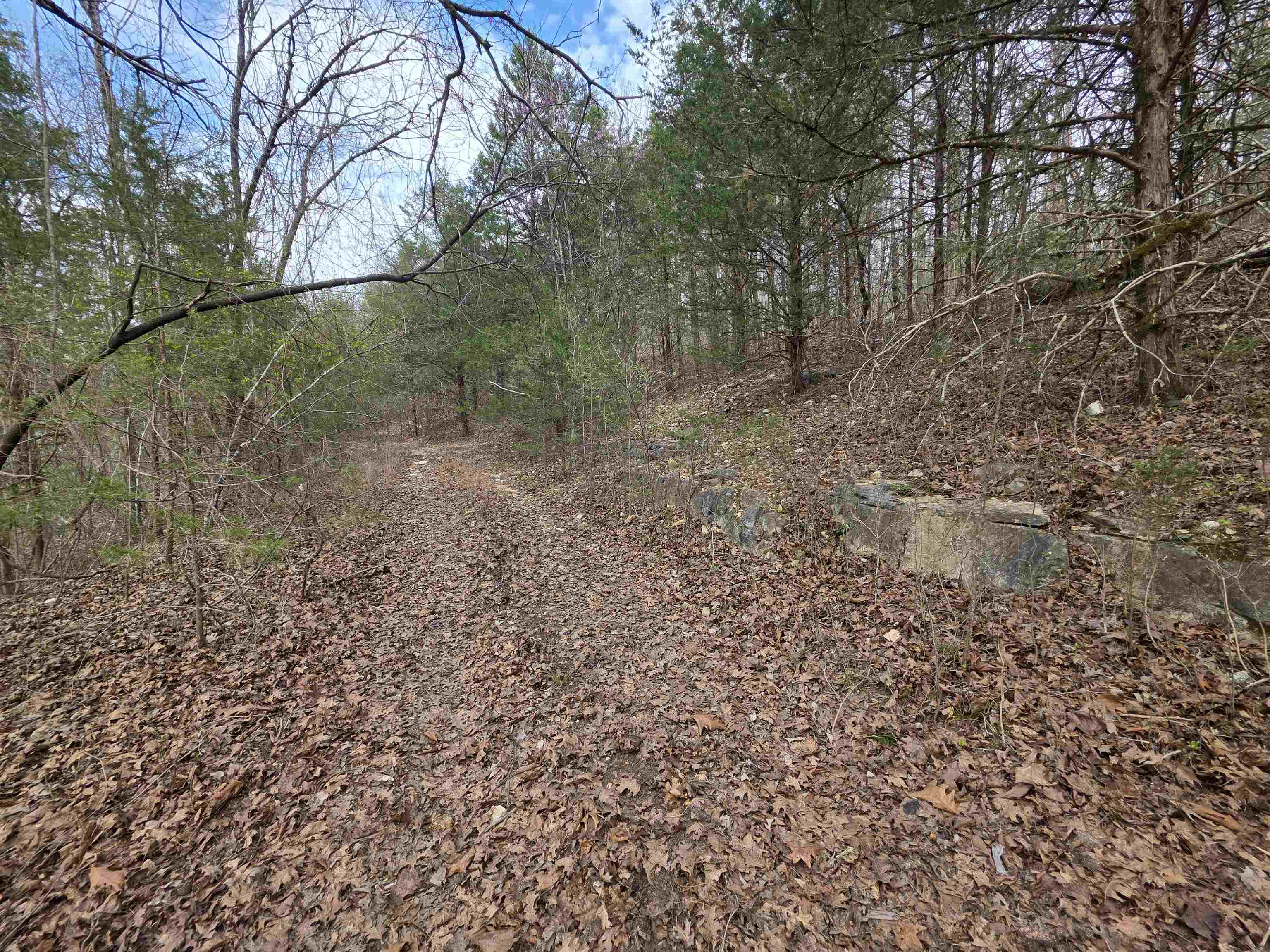 L-24 B-7 Steves Road Property Photo 2