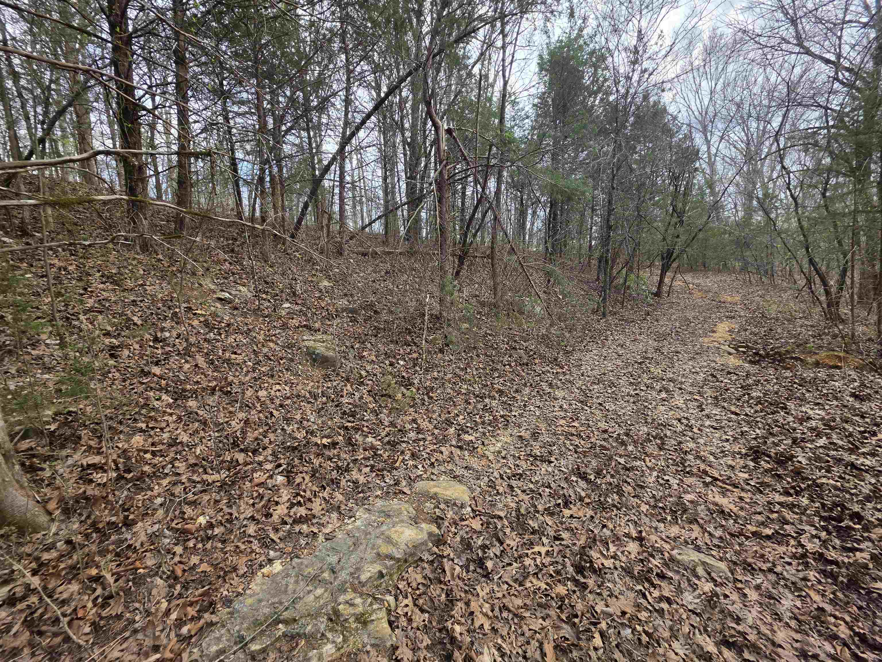 L-24 B-7 Steves Road Property Photo 3