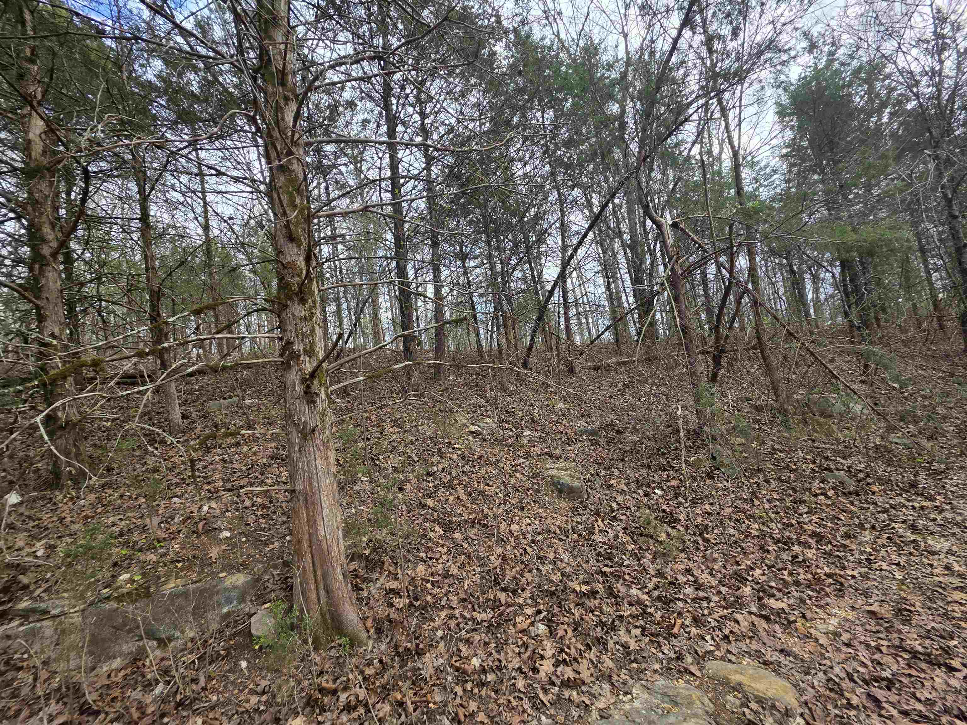 L-24 B-7 Steves Road Property Photo 4