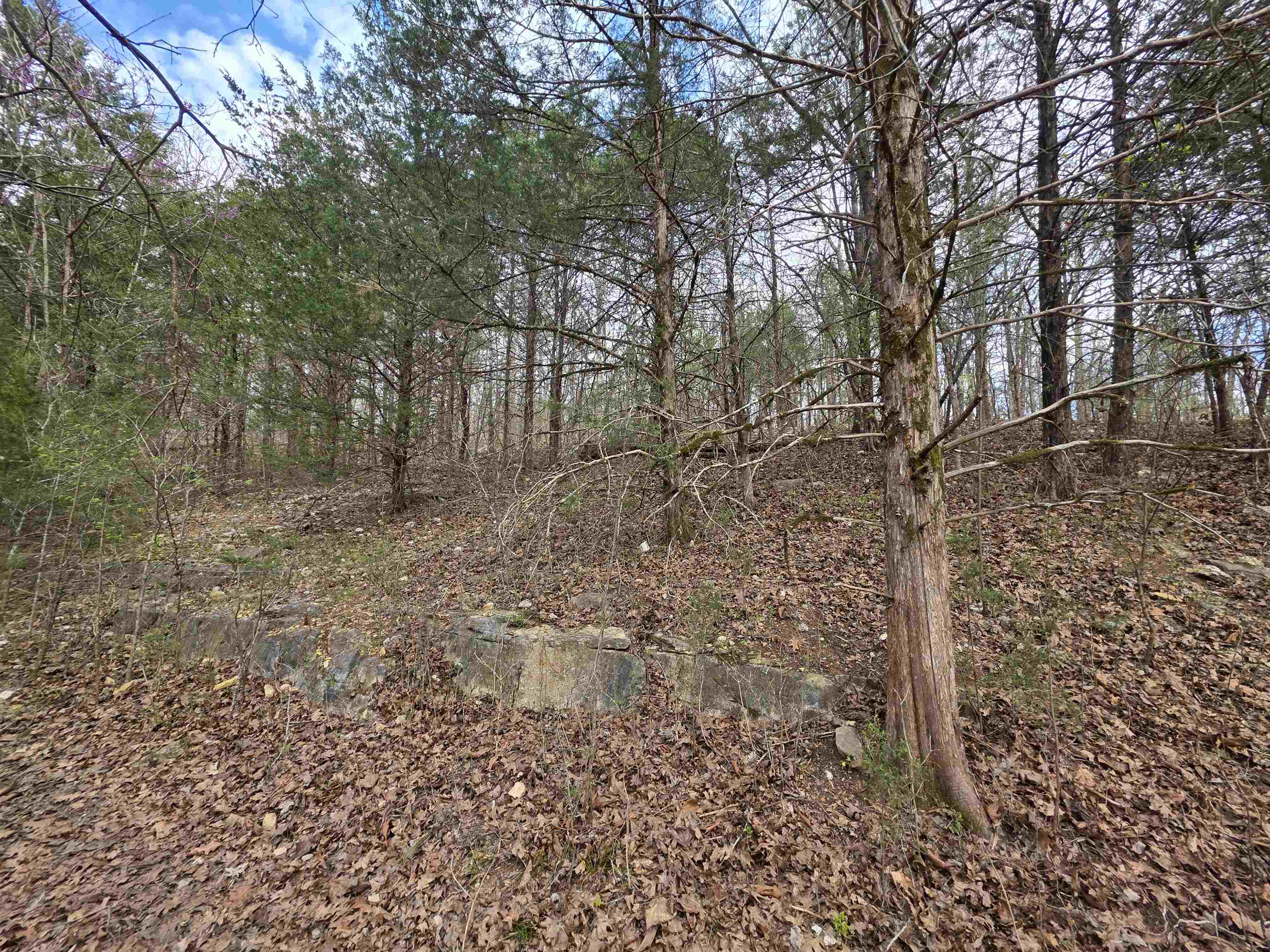 L-24 B-7 Steves Road Property Photo 5