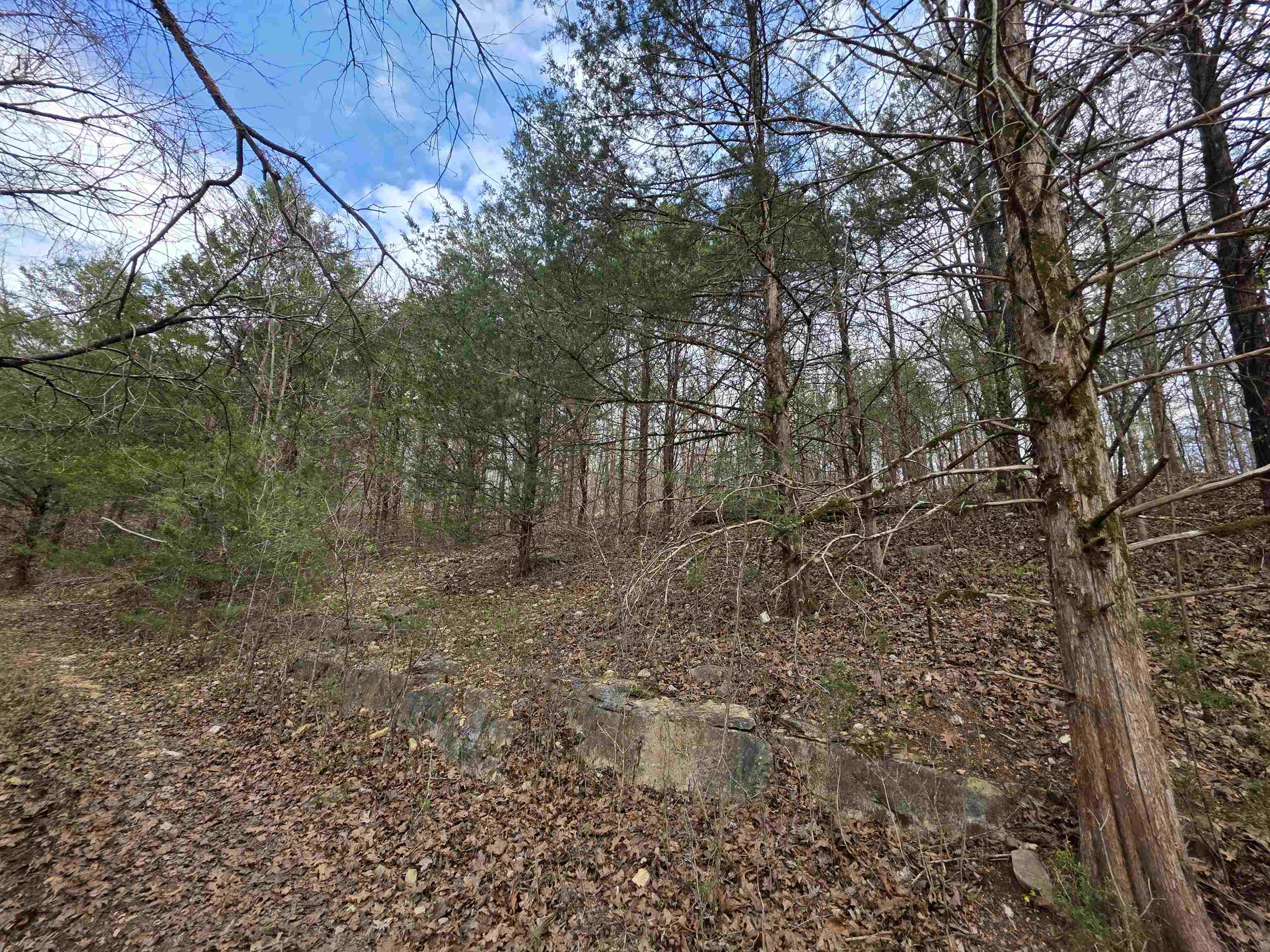 L-24 B-7 Steves Road Property Photo 6