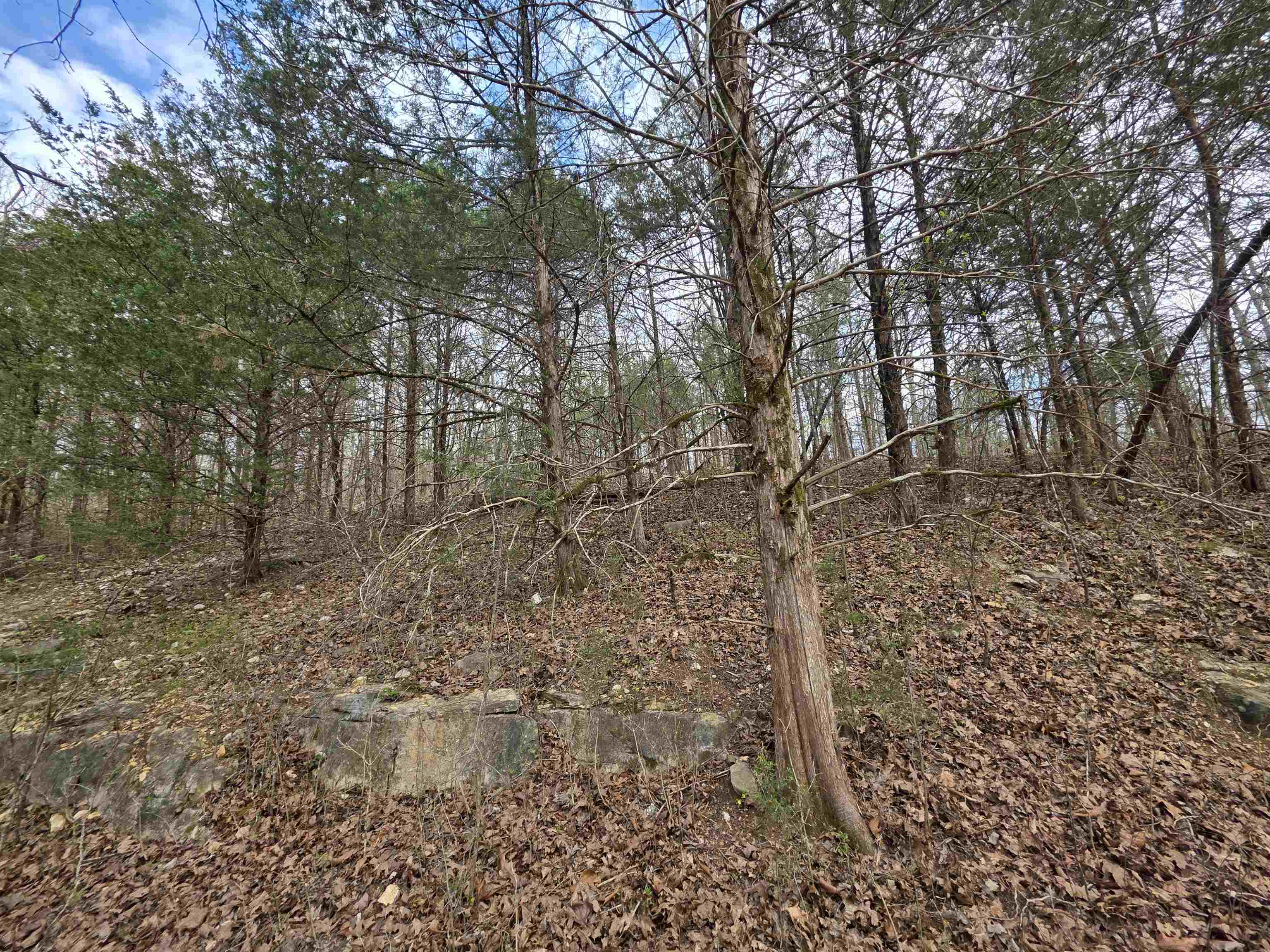L-24 B-7 Steves Road Property Photo 7