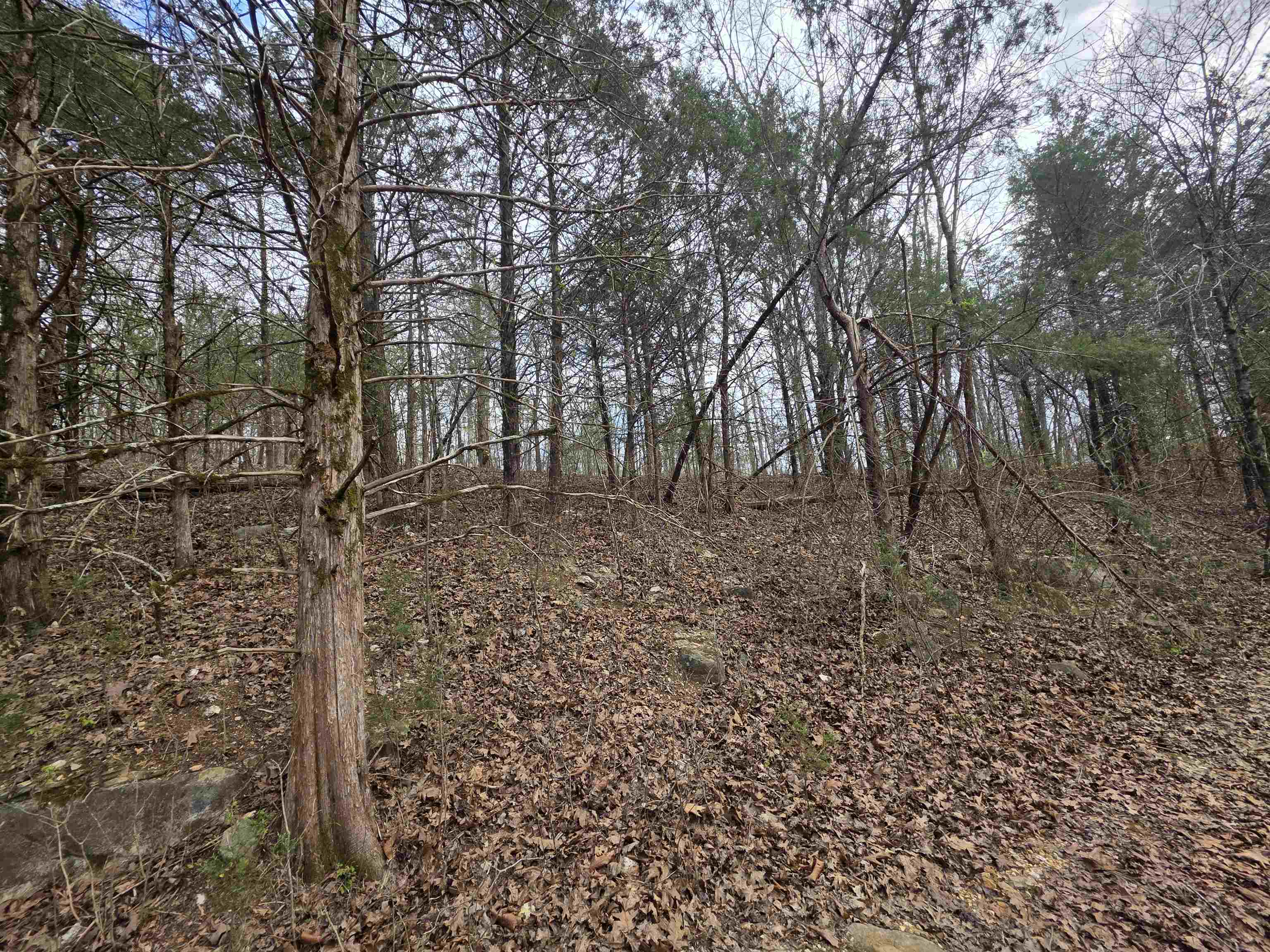 L-24 B-7 Steves Road Property Photo 8