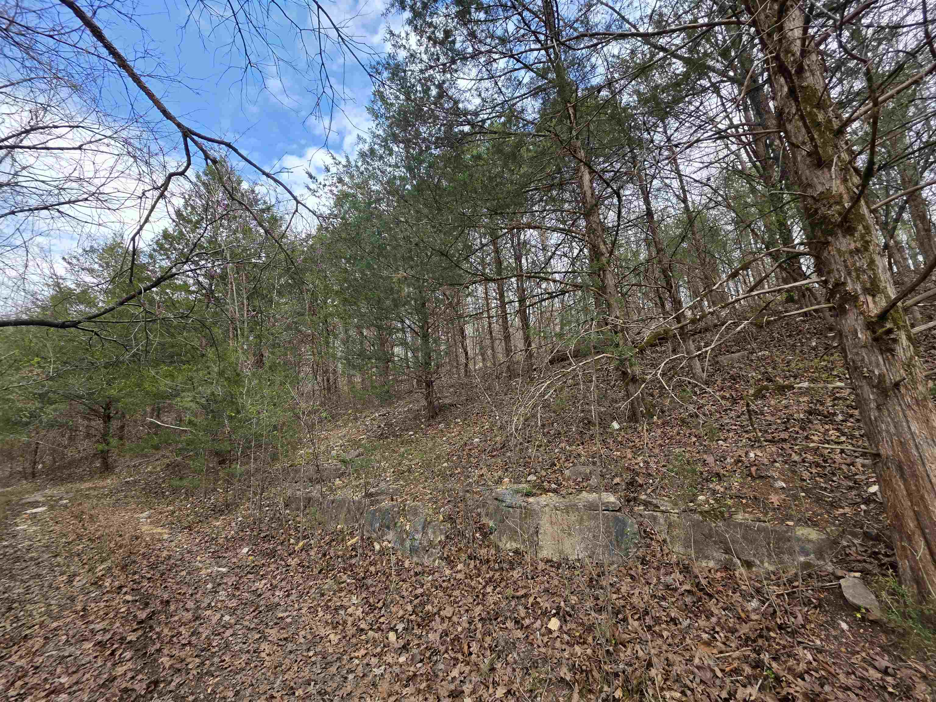 L-24 B-7 Steves Road Property Photo 9