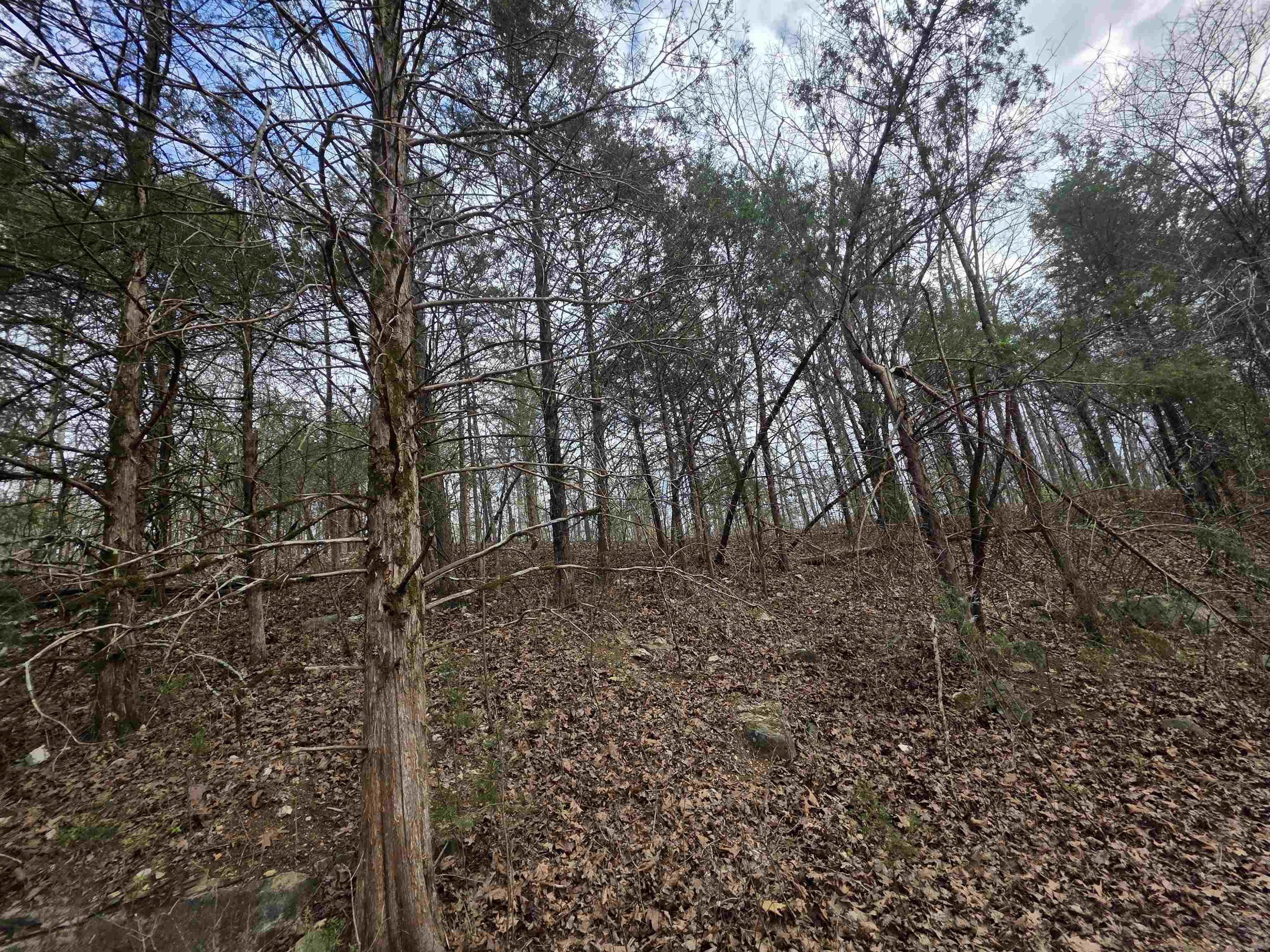 L-24 B-7 Steves Road Property Photo 10