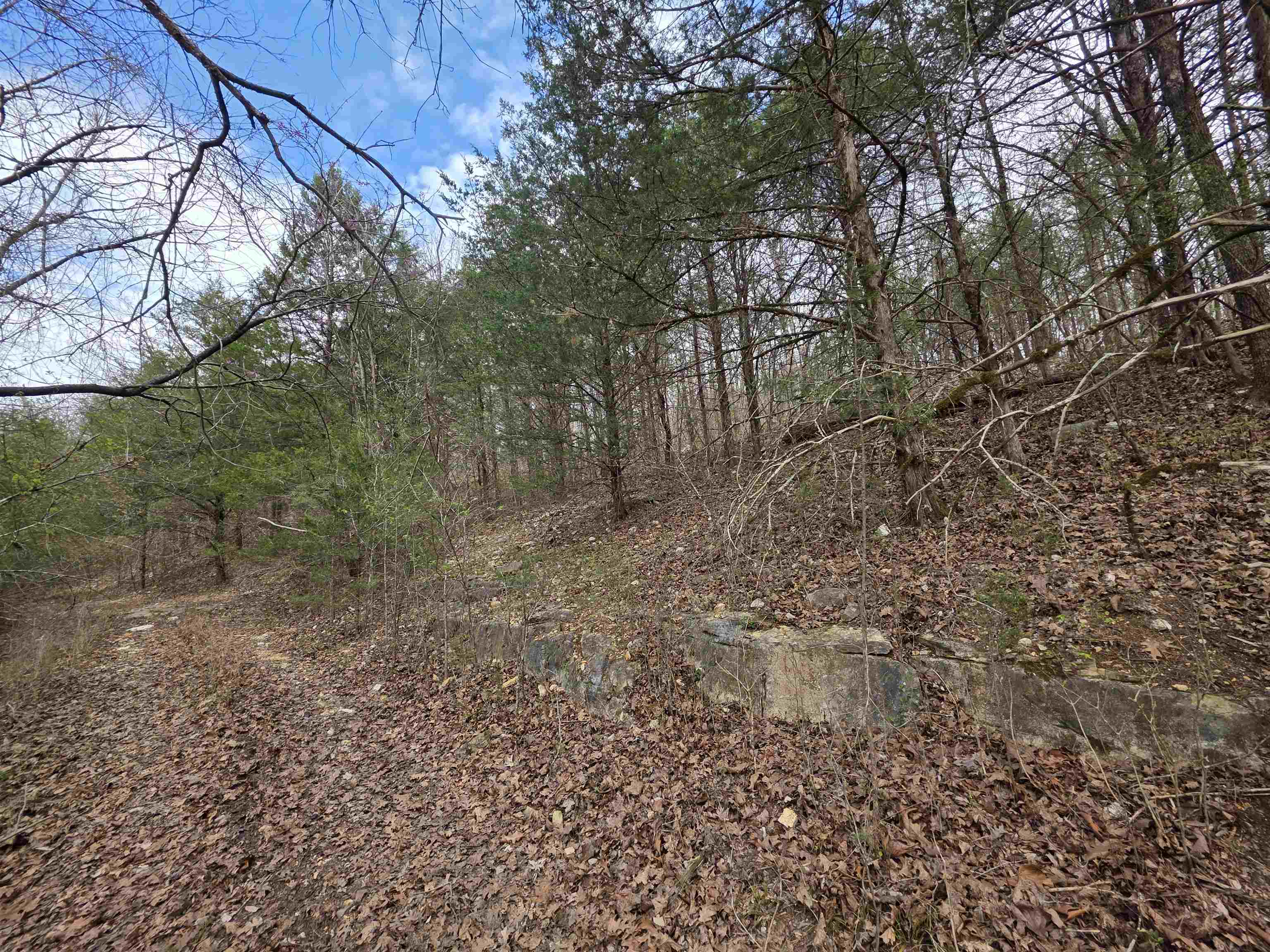 L-24 B-7 Steves Road Property Photo 11