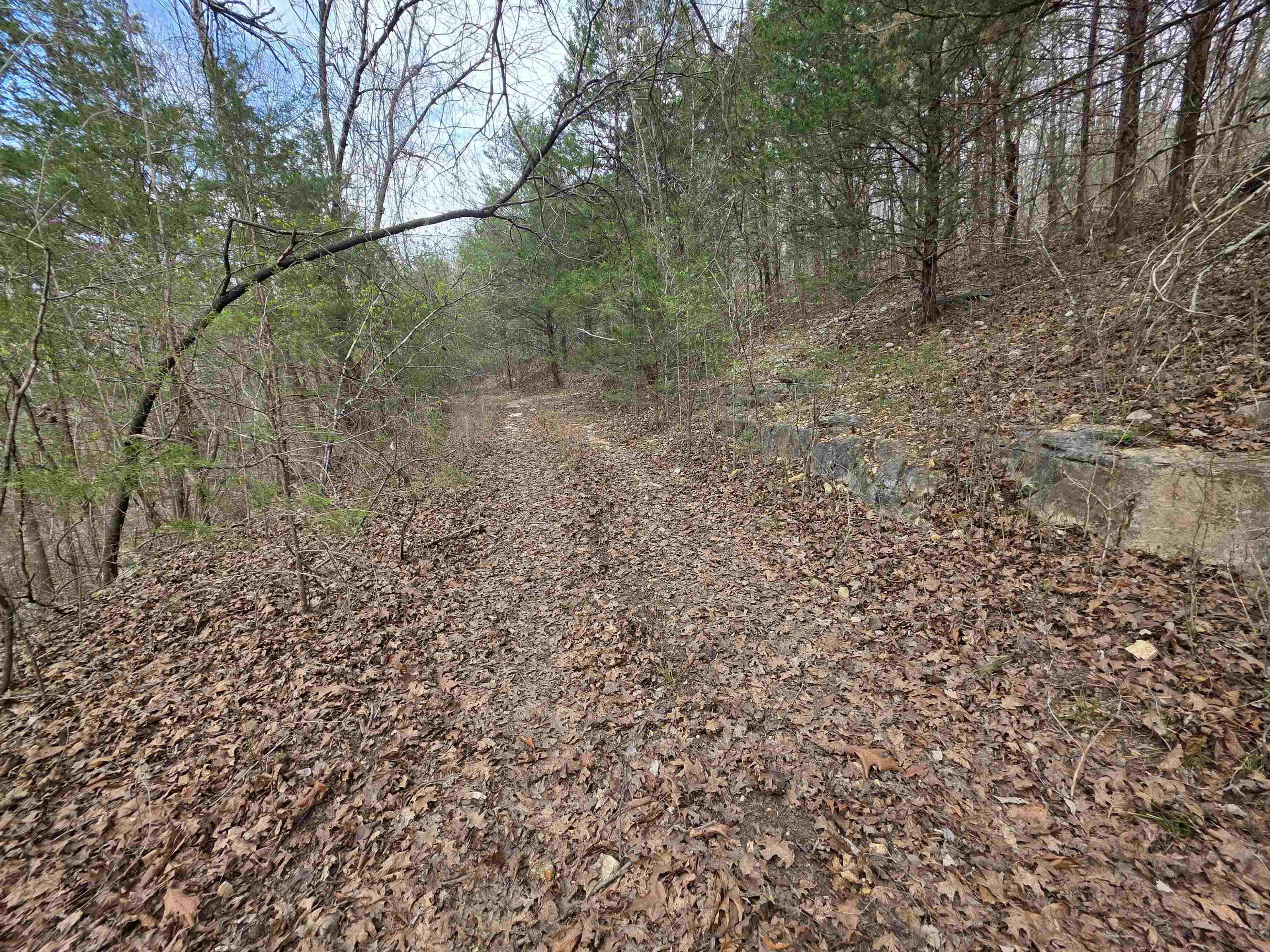 L-24 B-7 Steves Road Property Photo 12