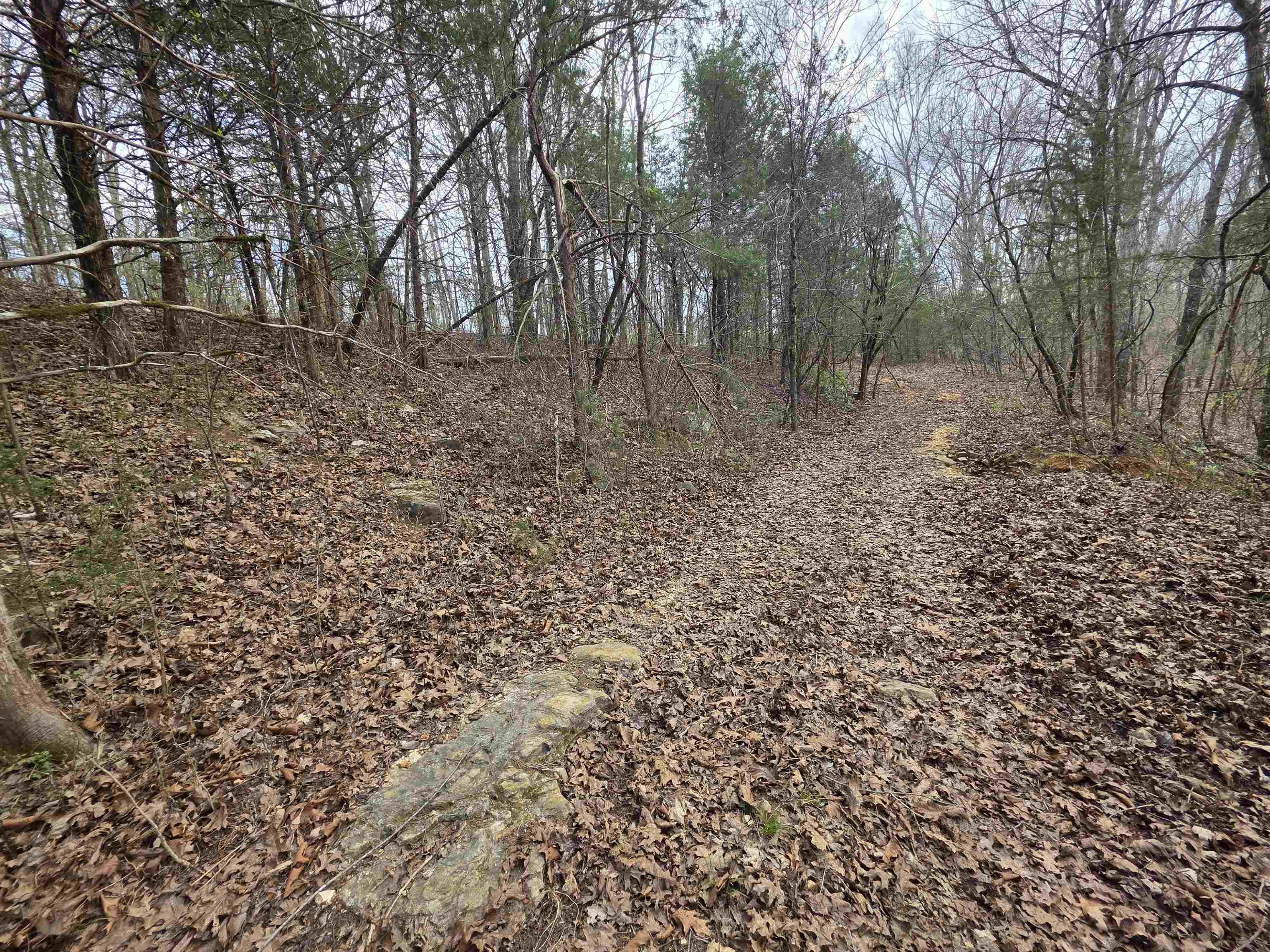 L-24 B-7 Steves Road Property Photo 13