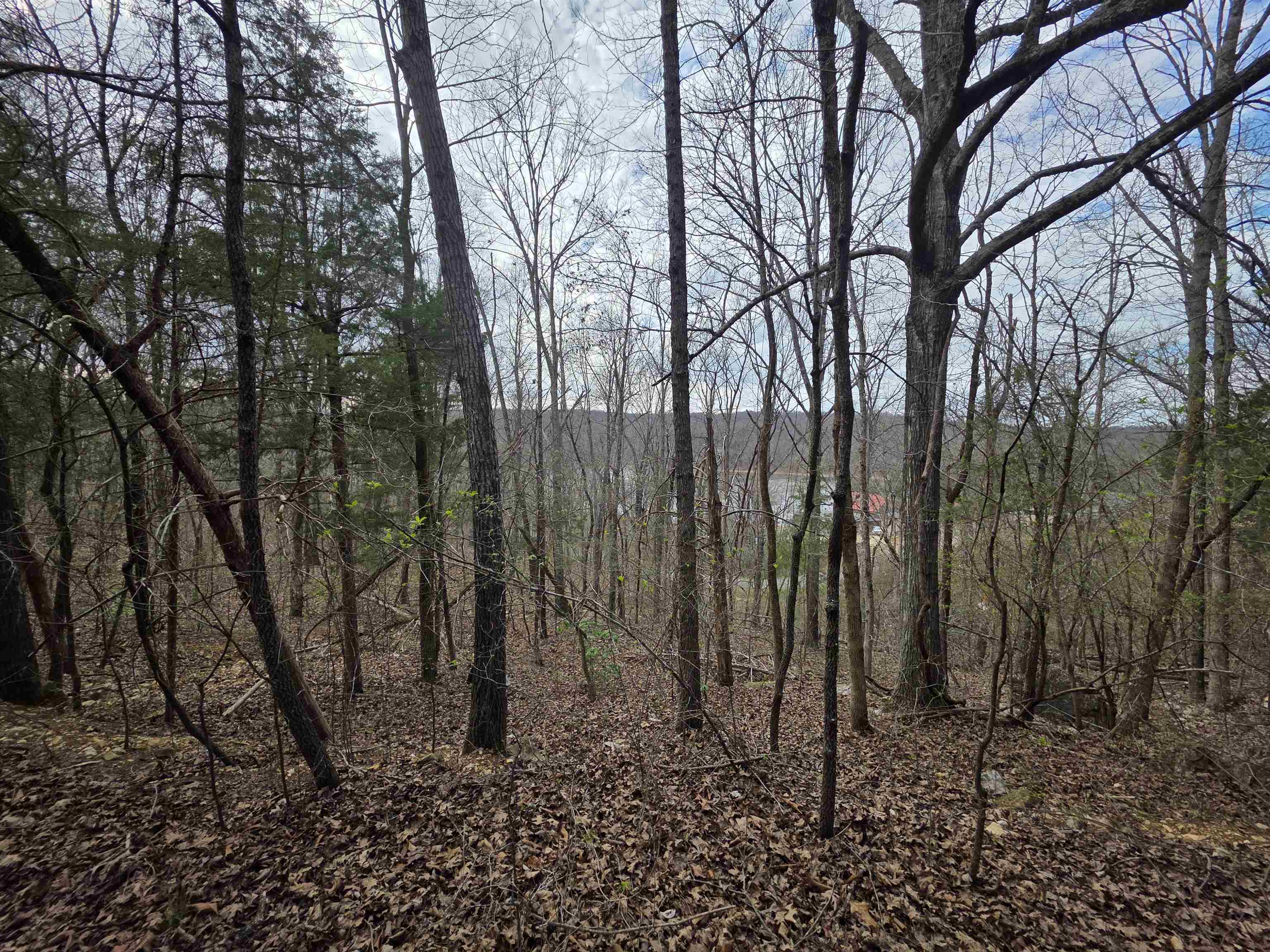 L-24 B-7 Steves Road Property Photo 14