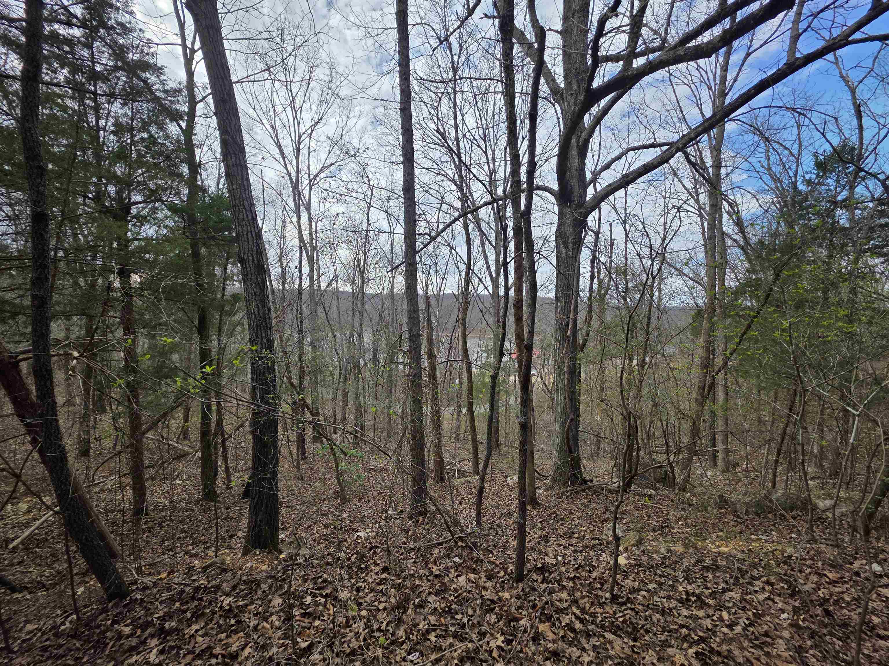 L-24 B-7 Steves Road Property Photo 15
