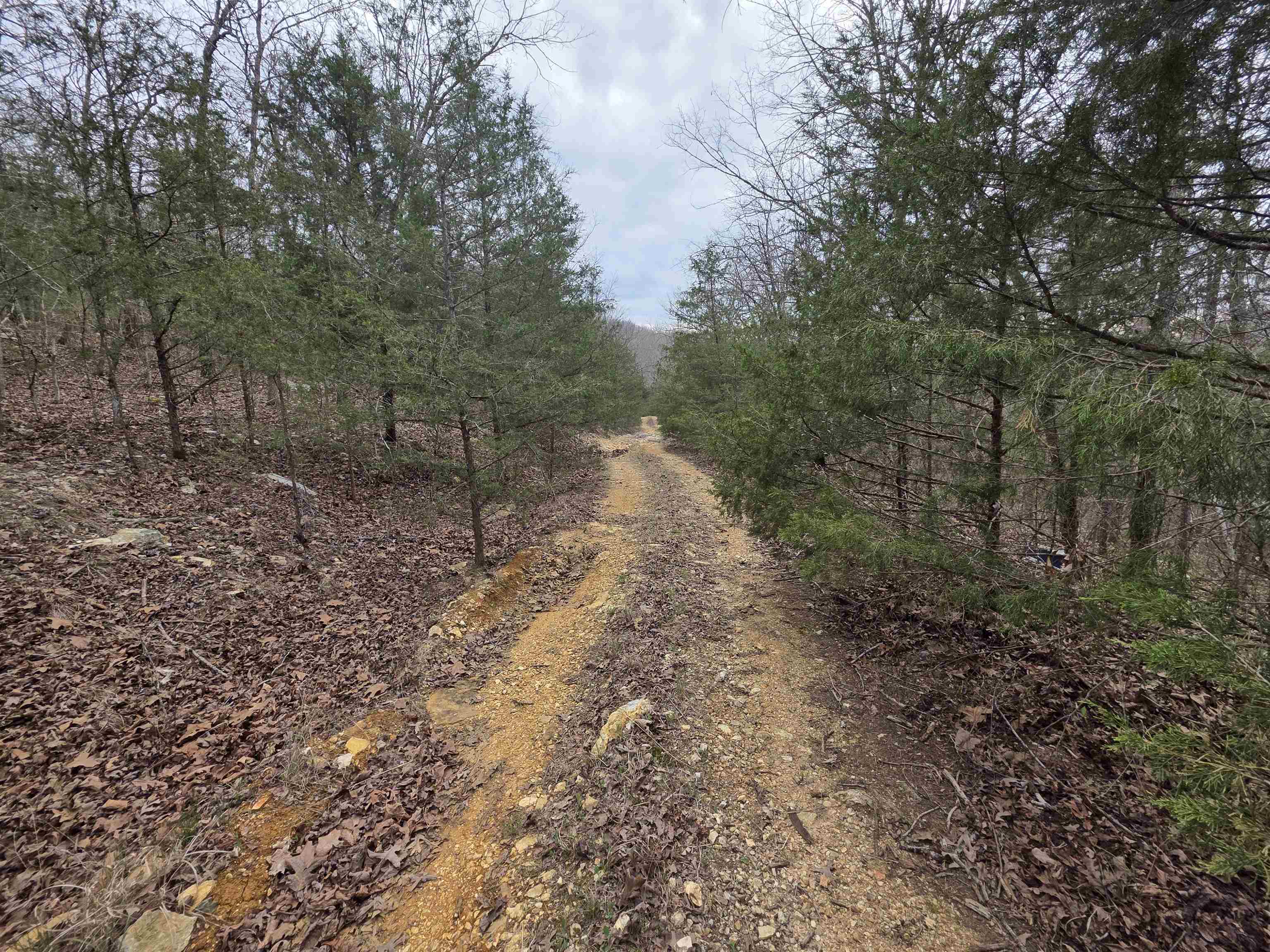 L-24 B-5 Tom Lee Road Property Photo 1