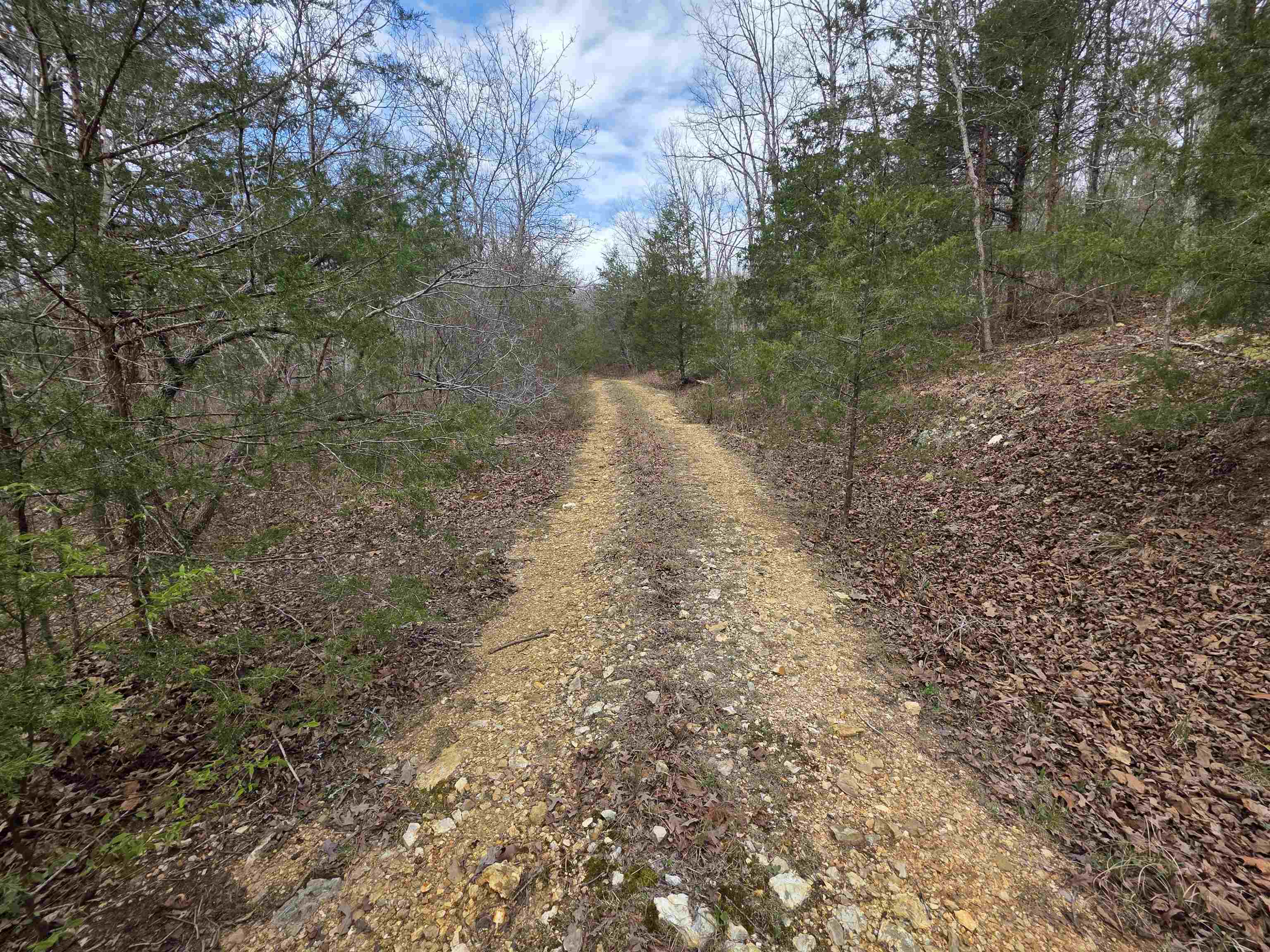 L-24 B-5 Tom Lee Road Property Photo 2
