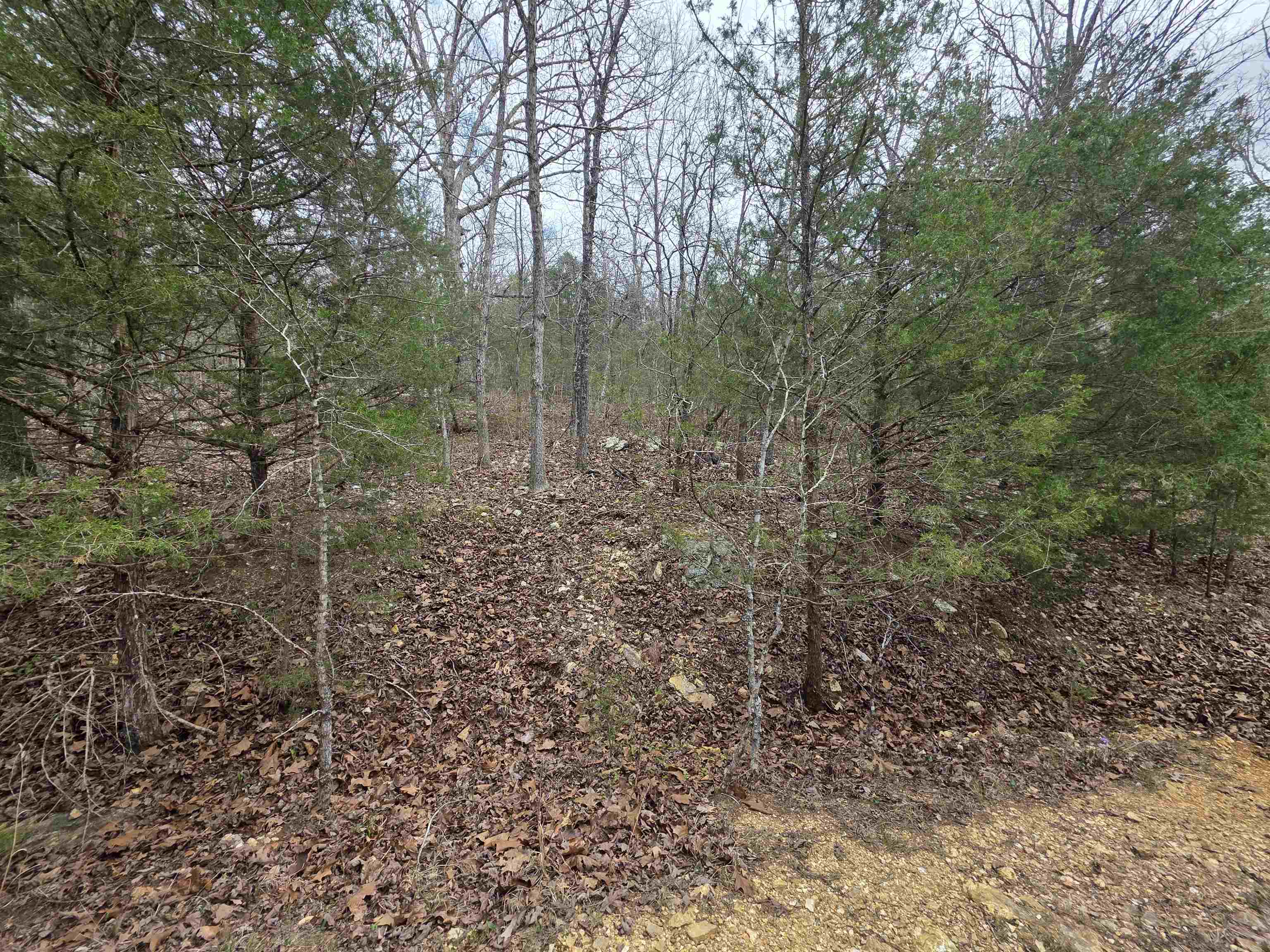 L-24 B-5 Tom Lee Road Property Photo 3