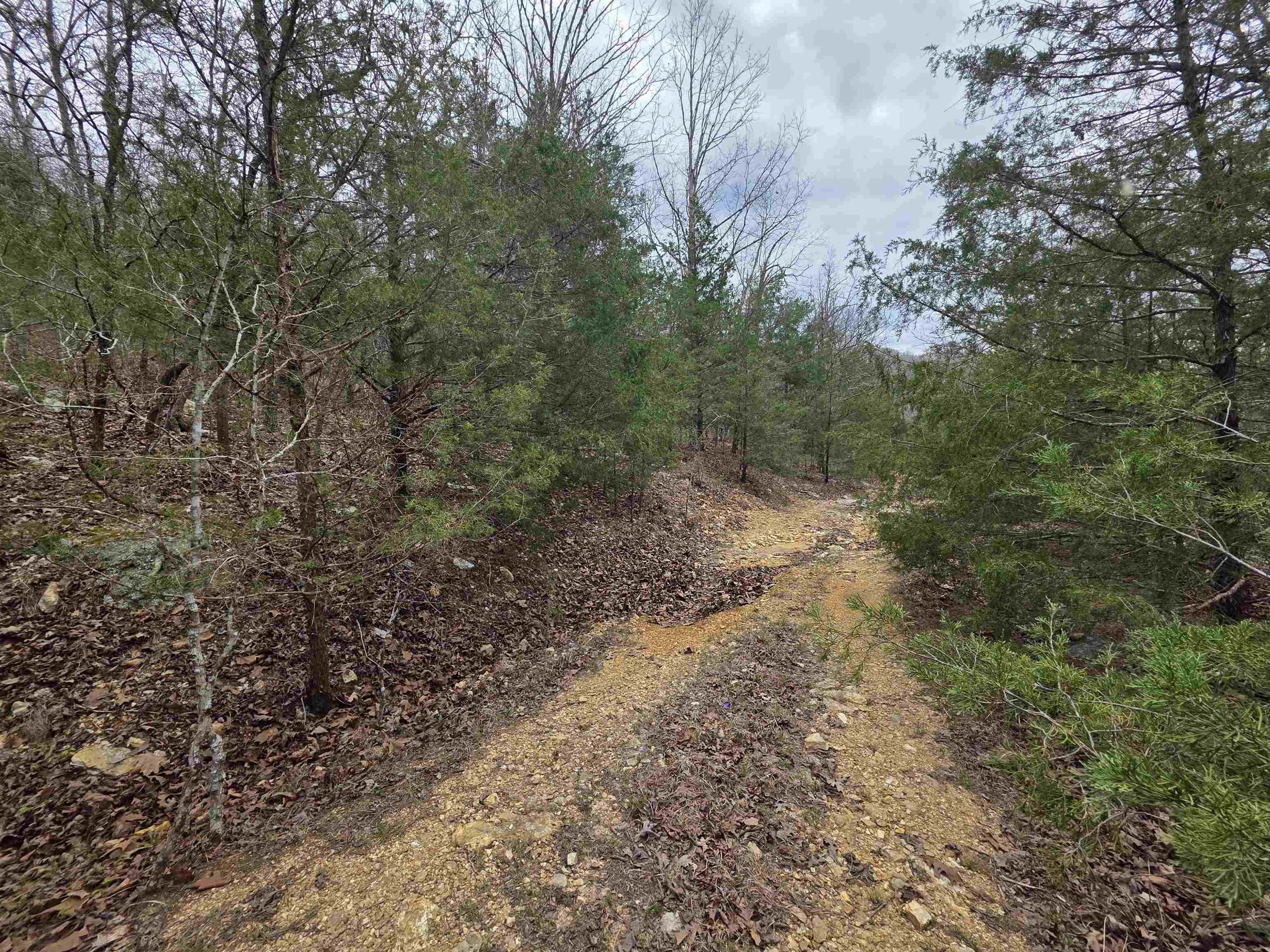 L-24 B-5 Tom Lee Road Property Photo 4