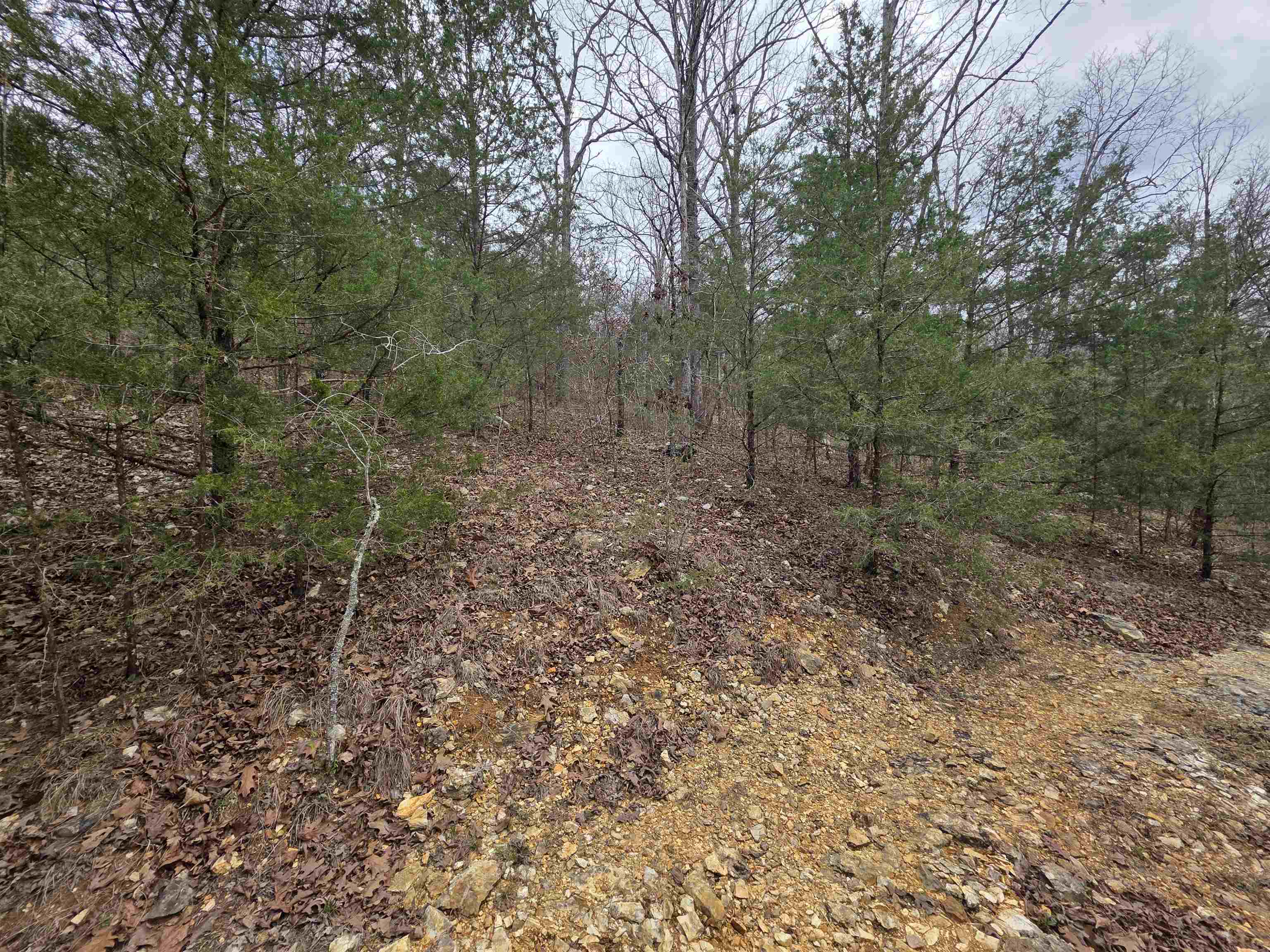 L-24 B-5 Tom Lee Road Property Photo 5