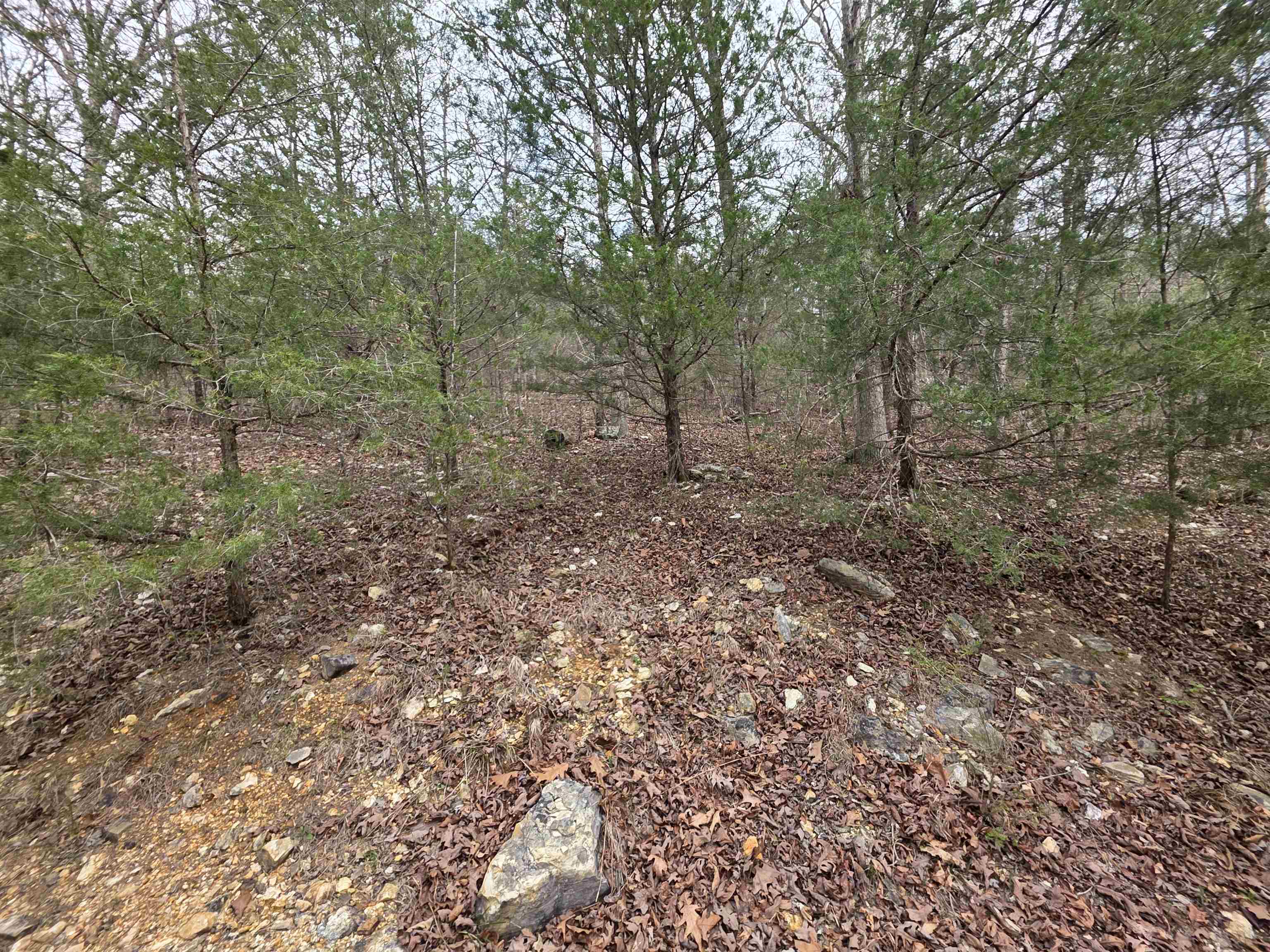 L-24 B-5 Tom Lee Road Property Photo 6