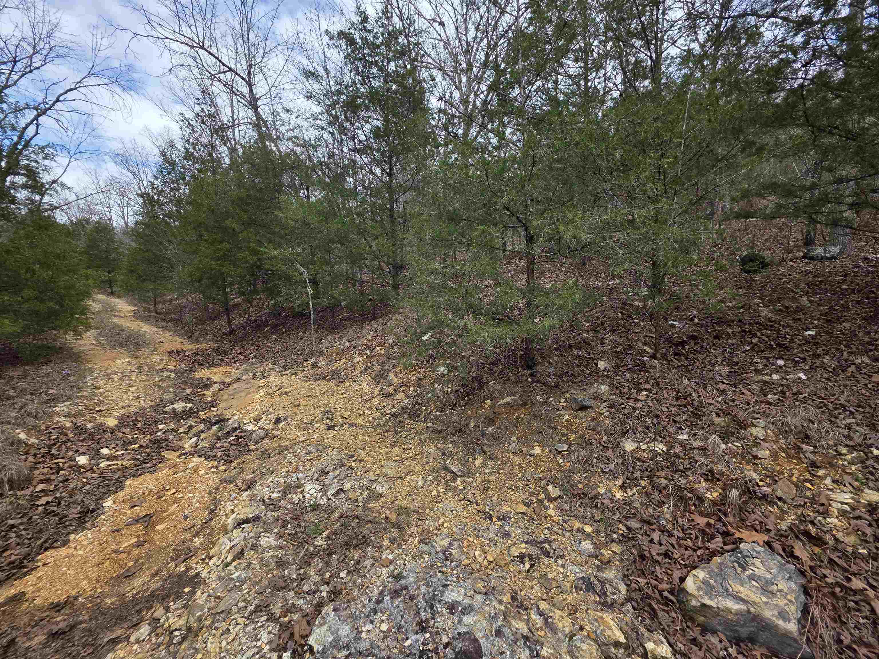 L-24 B-5 Tom Lee Road Property Photo 7