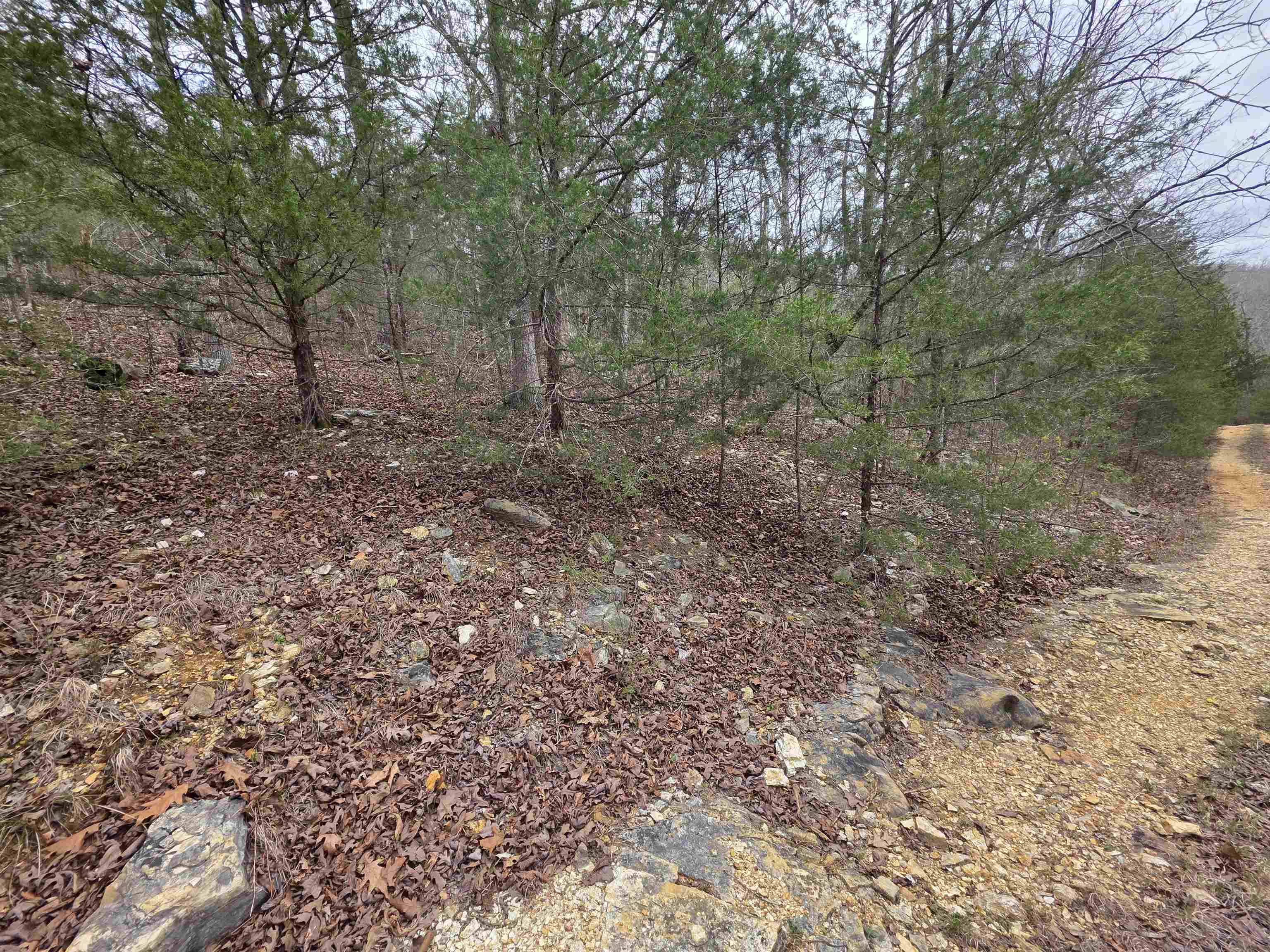 L-24 B-5 Tom Lee Road Property Photo 8