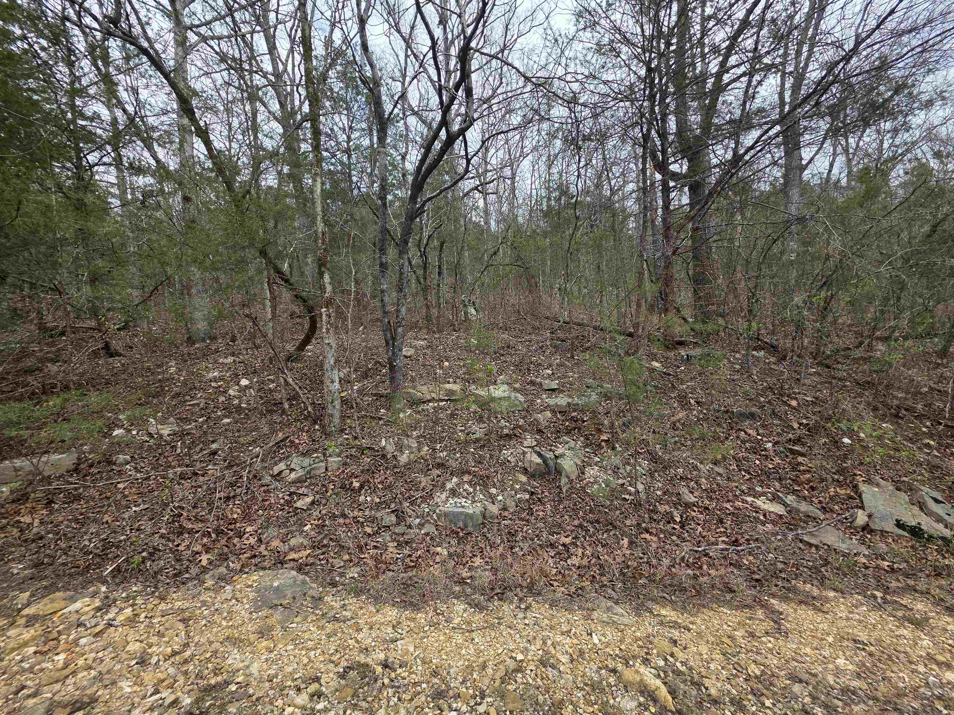 L-24 B-5 Tom Lee Road Property Photo 9