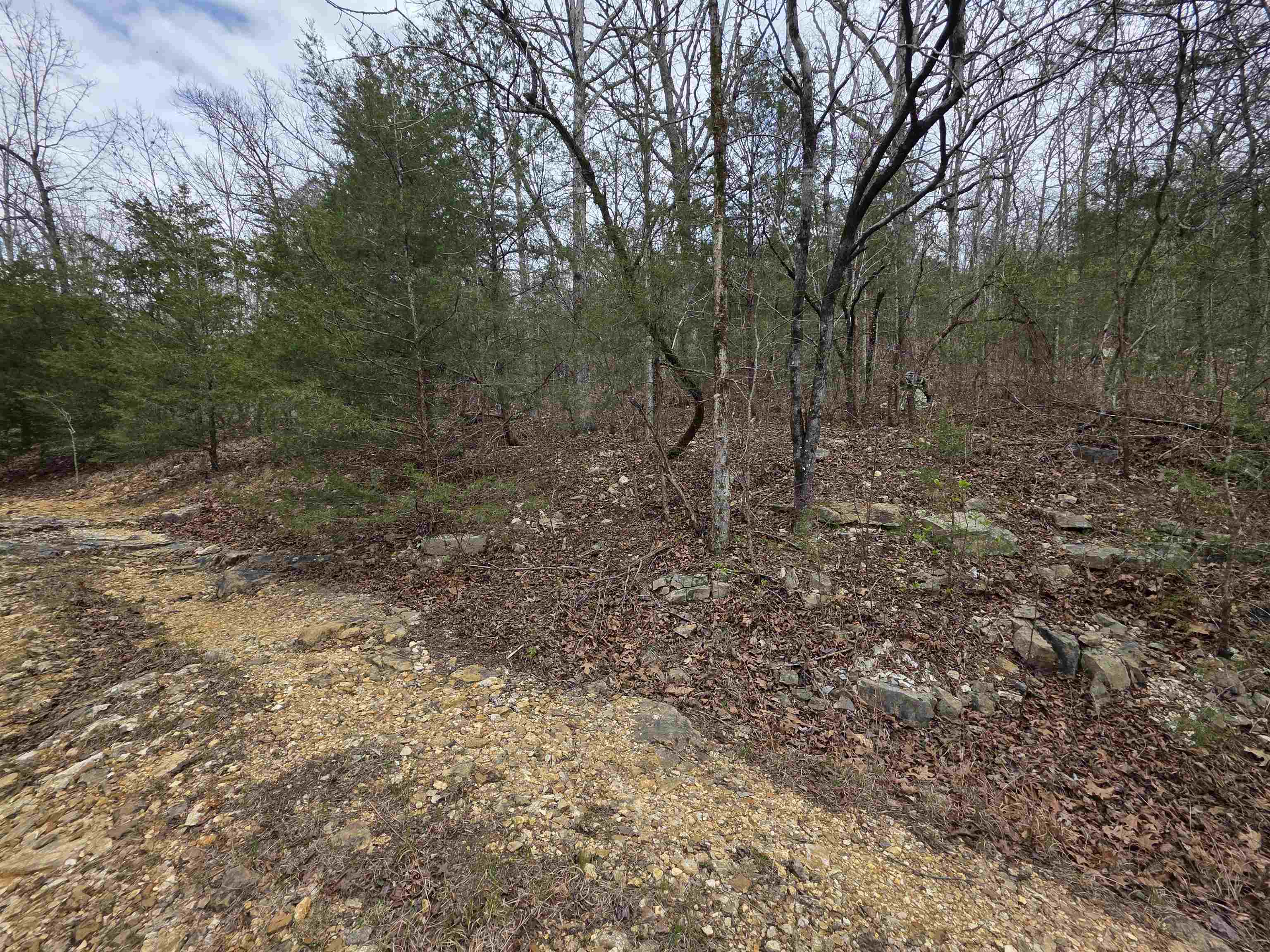 L-24 B-5 Tom Lee Road Property Photo 10