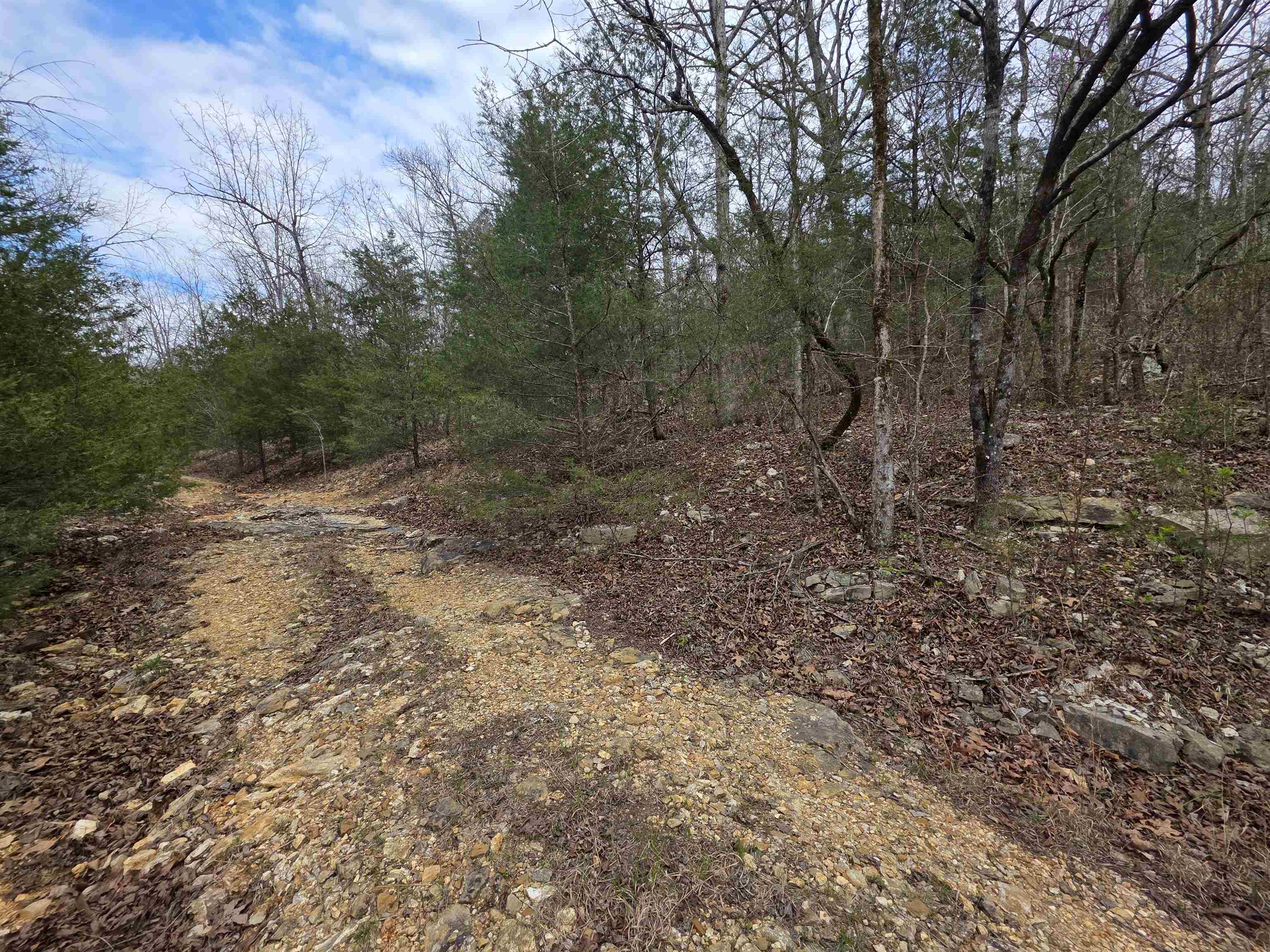 L-24 B-5 Tom Lee Road Property Photo 11