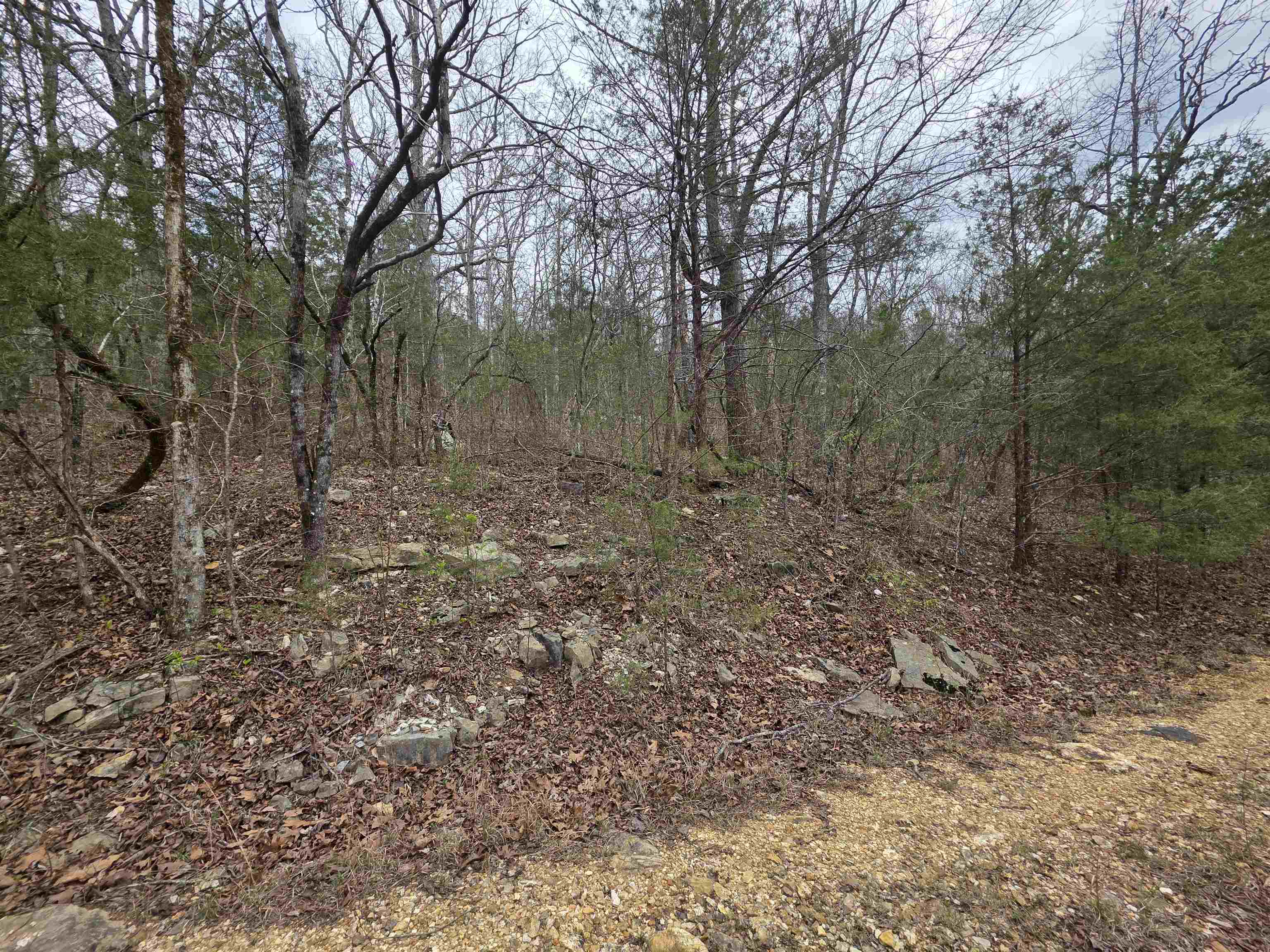 L-24 B-5 Tom Lee Road Property Photo 12
