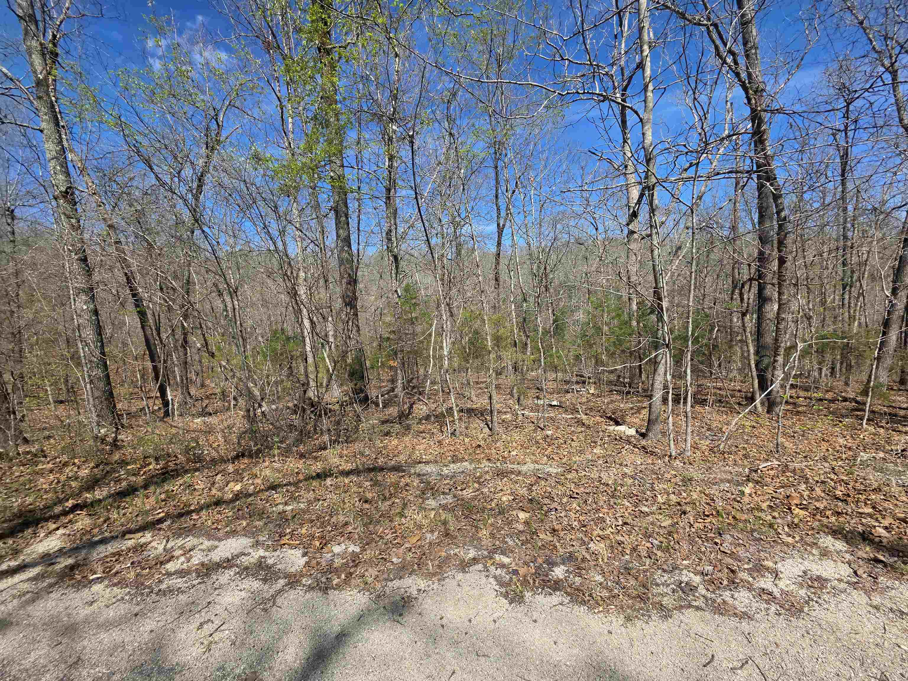 L-14 B-11 Oklahoma Circle Property Photo 4
