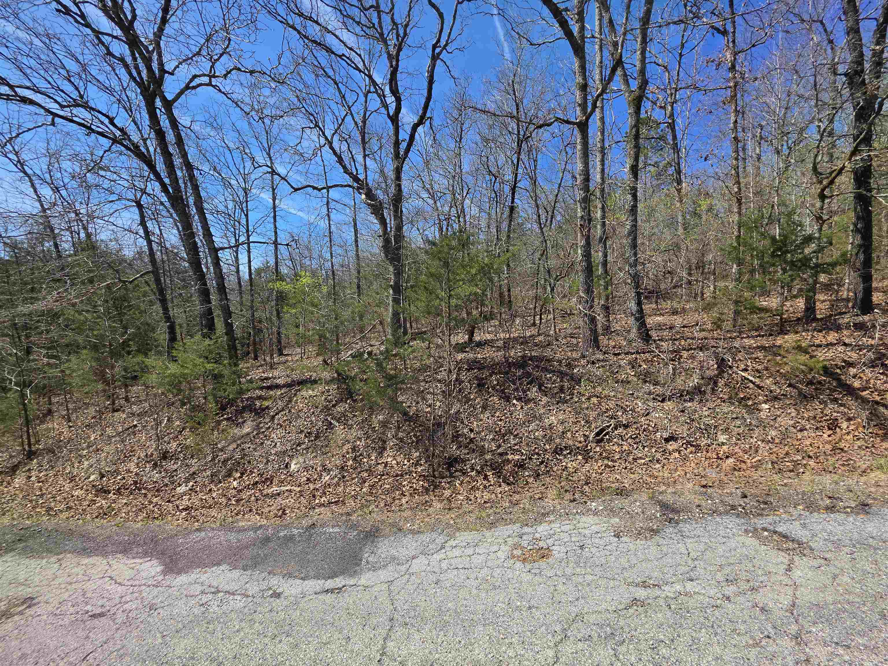 L-39 B-10 Iroquois Drive Property Photo 1