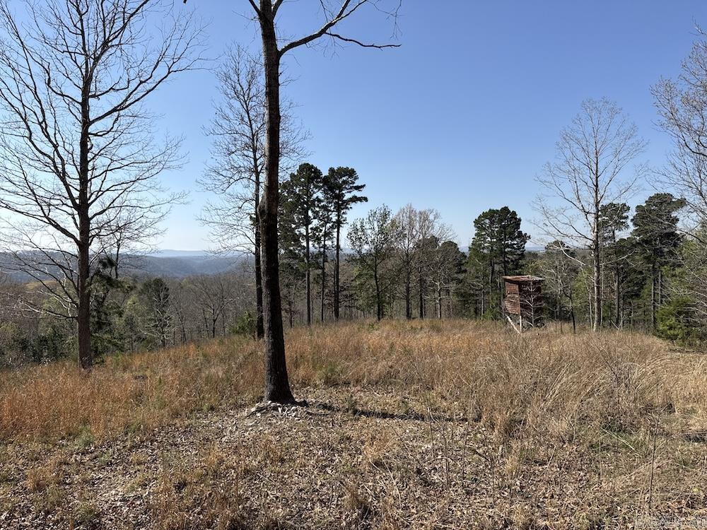 627 Dogwood Hollow Road Property Photo 9