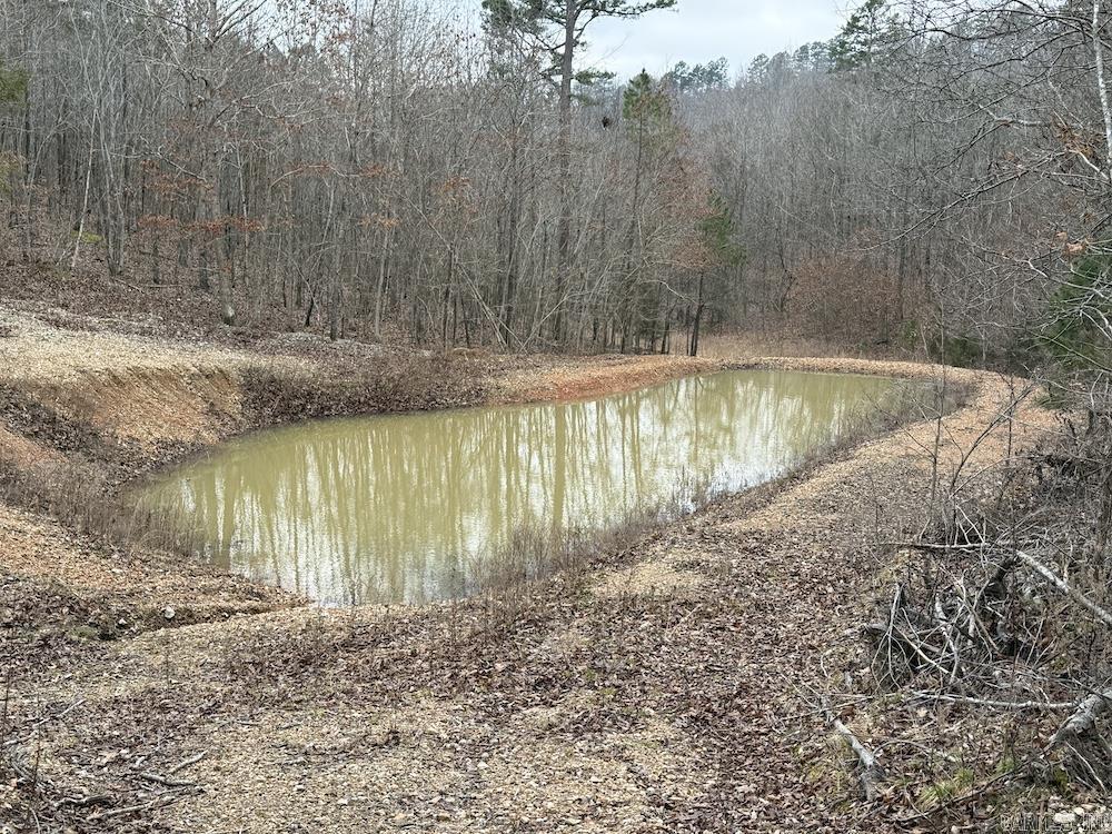 627 Dogwood Hollow Road Property Photo 12