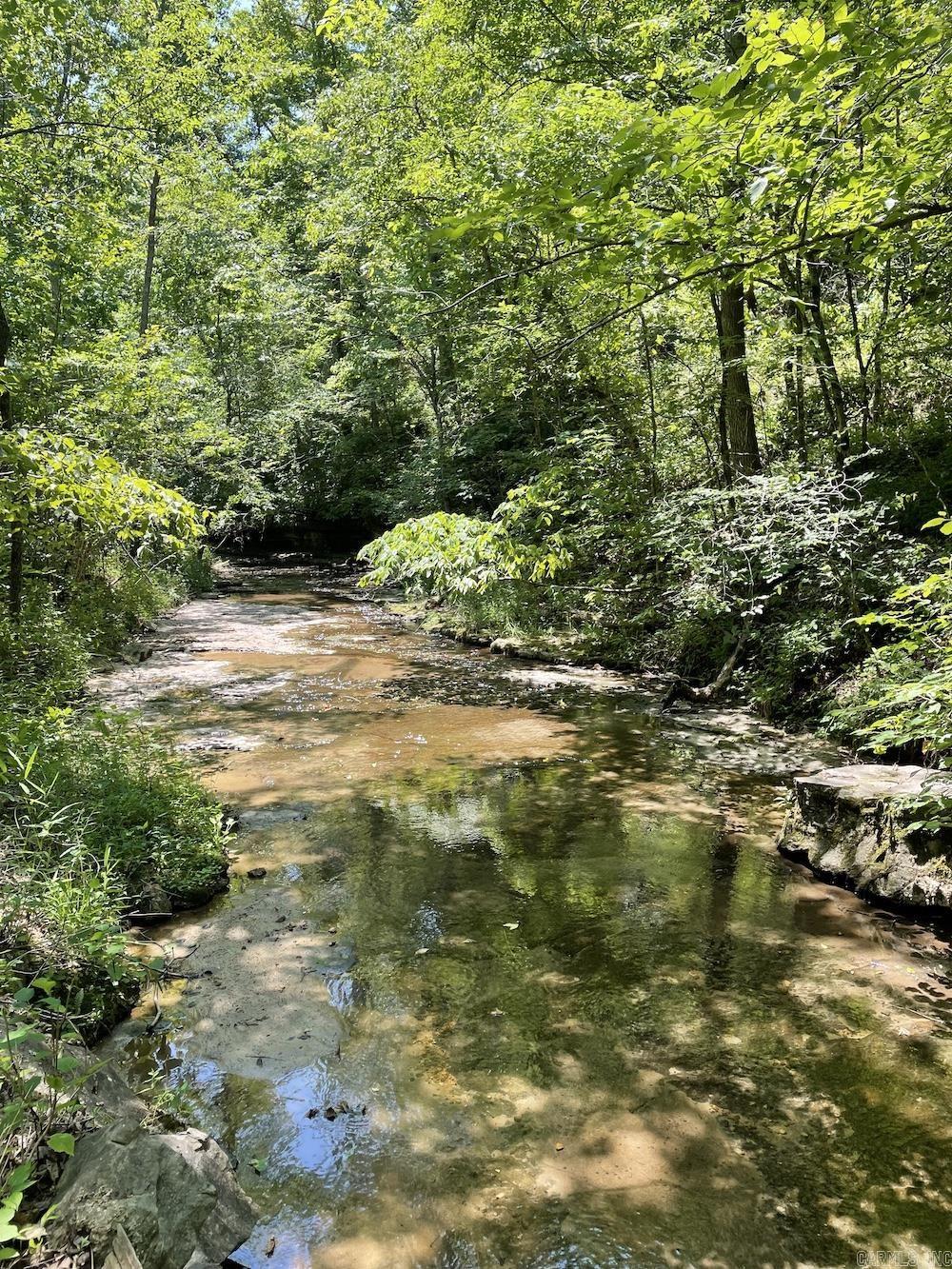 627 Dogwood Hollow Road Property Photo 13