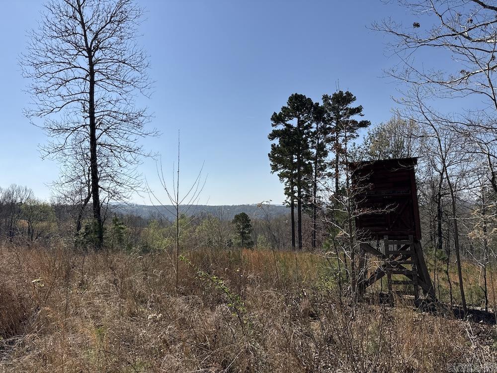 627 Dogwood Hollow Road Property Photo 37