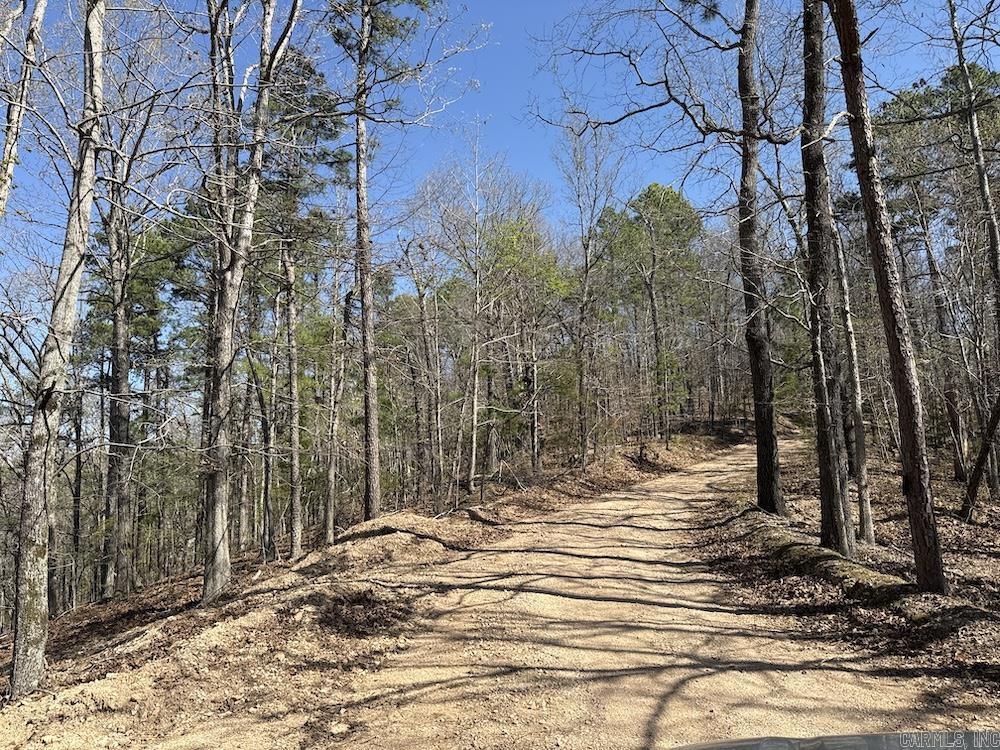 627 Dogwood Hollow Road Property Photo 39