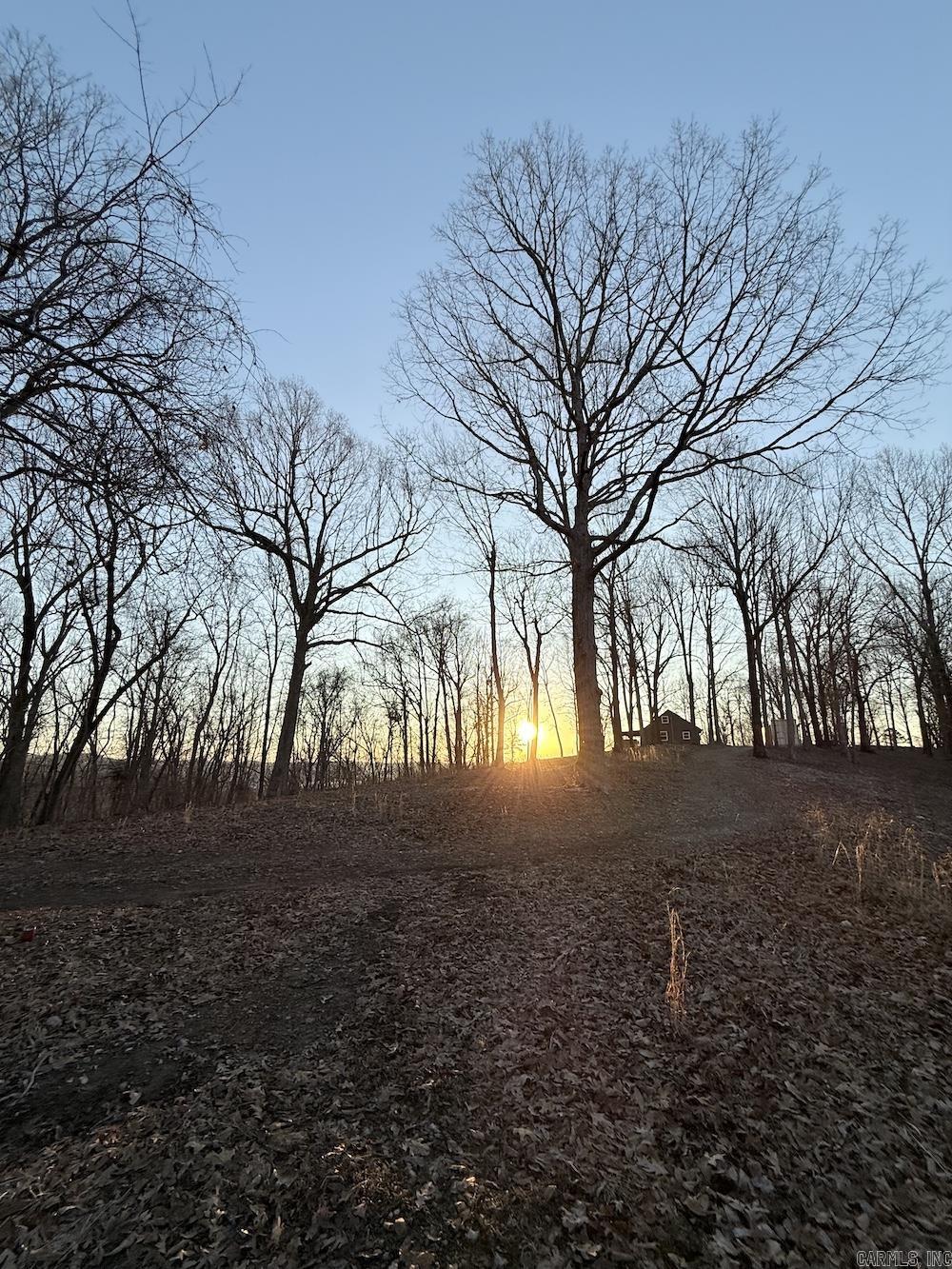 627 Dogwood Hollow Road Property Photo 40
