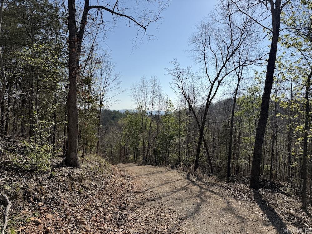 627 Dogwood Hollow Road Property Photo 41