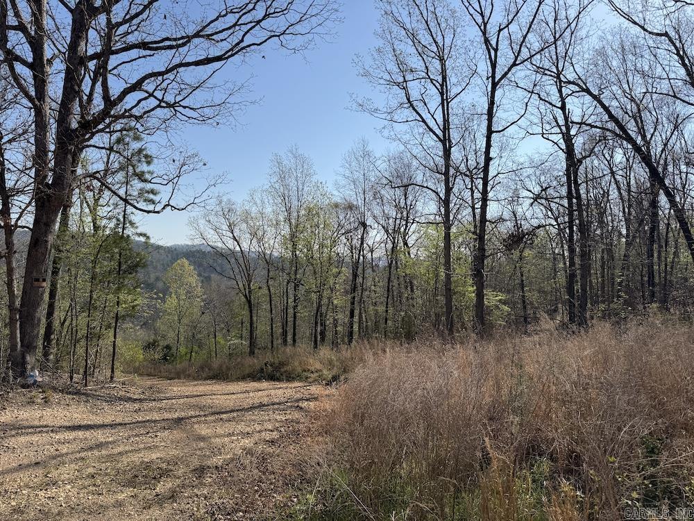 627 Dogwood Hollow Road Property Photo 43