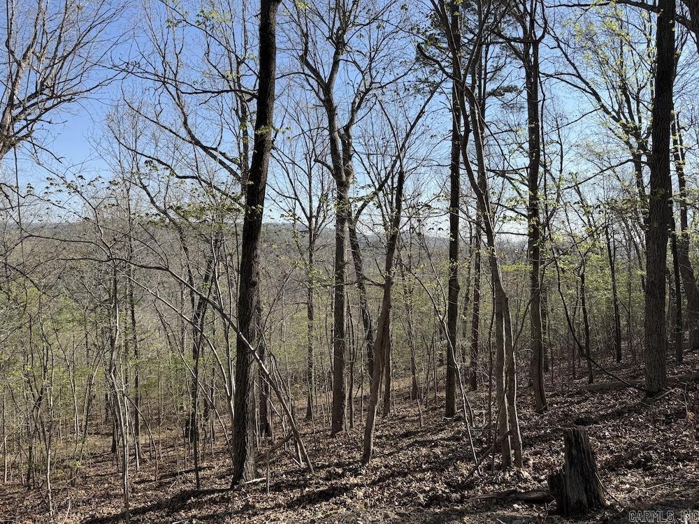 627 Dogwood Hollow Road Property Photo 44