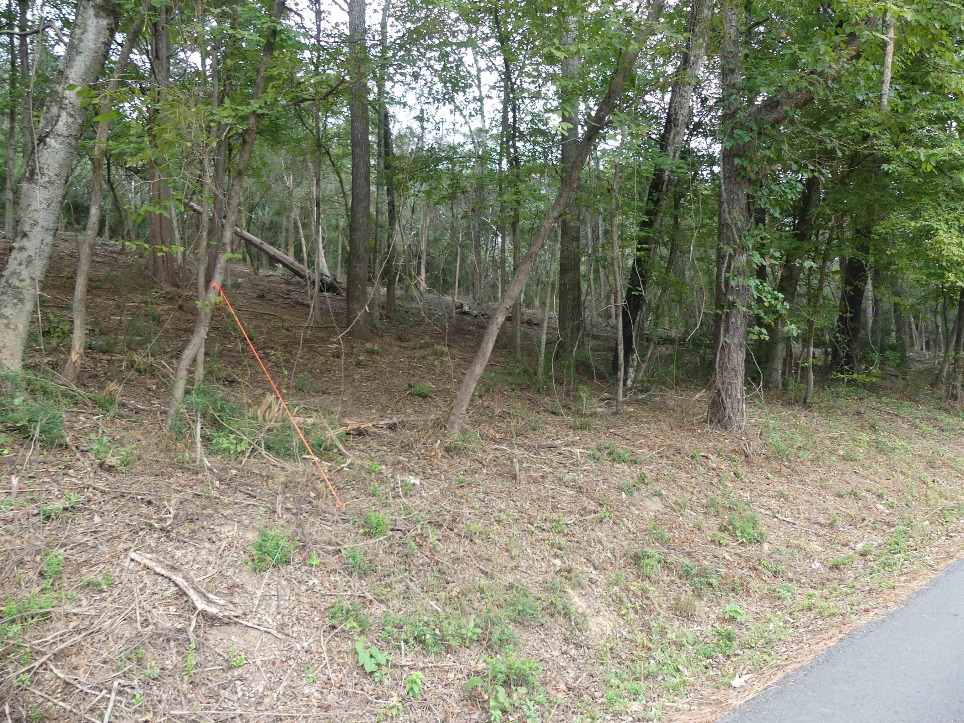 000 Cozy Acres Avenue Property Photo 6