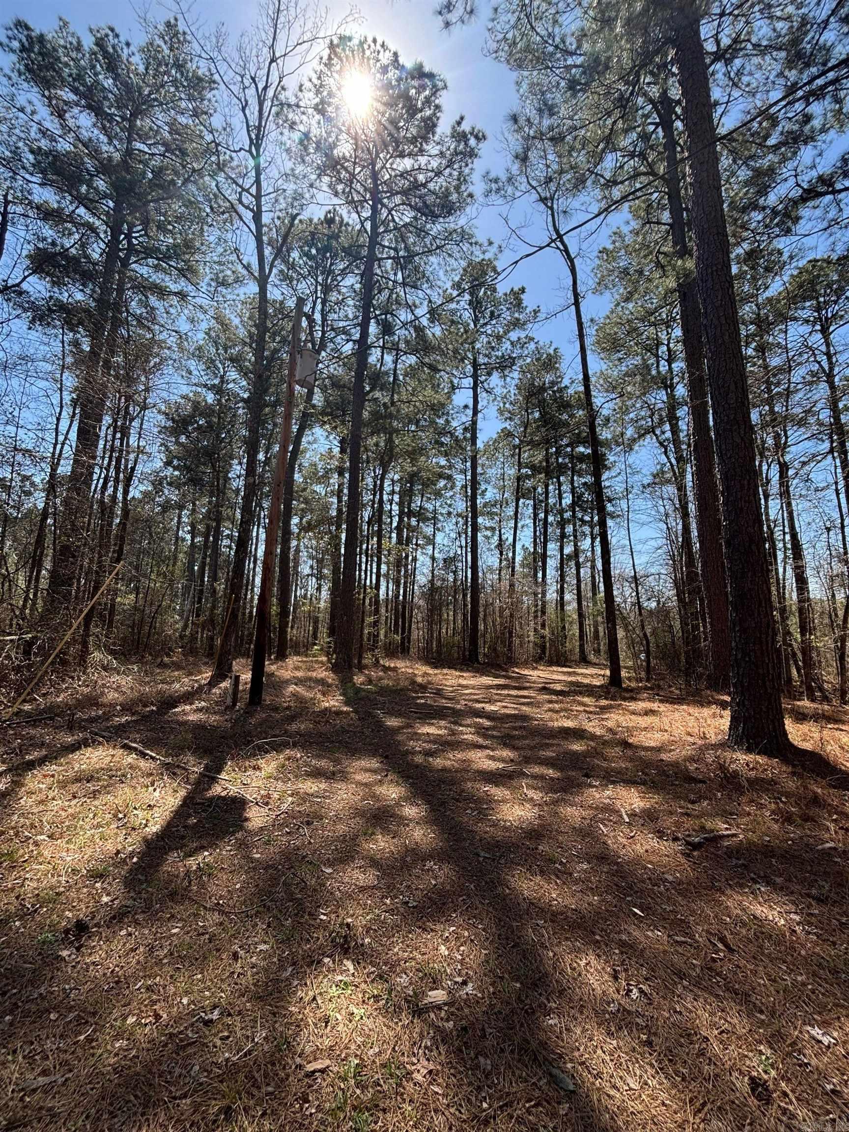 Dunkeffie Property Photo 1