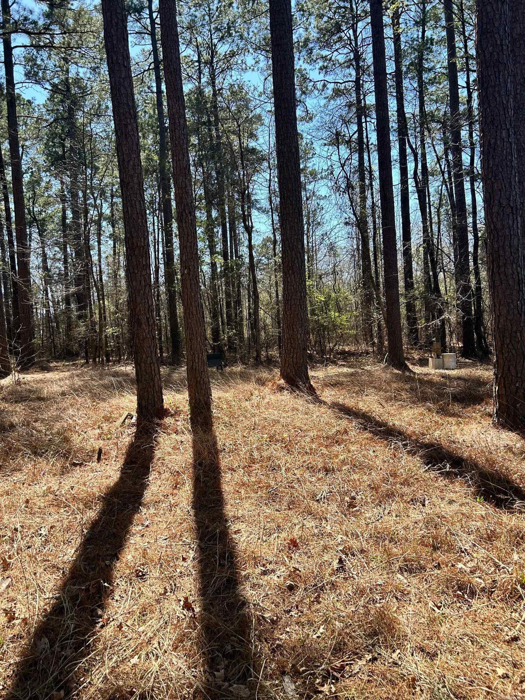 Dunkeffie Property Photo 4