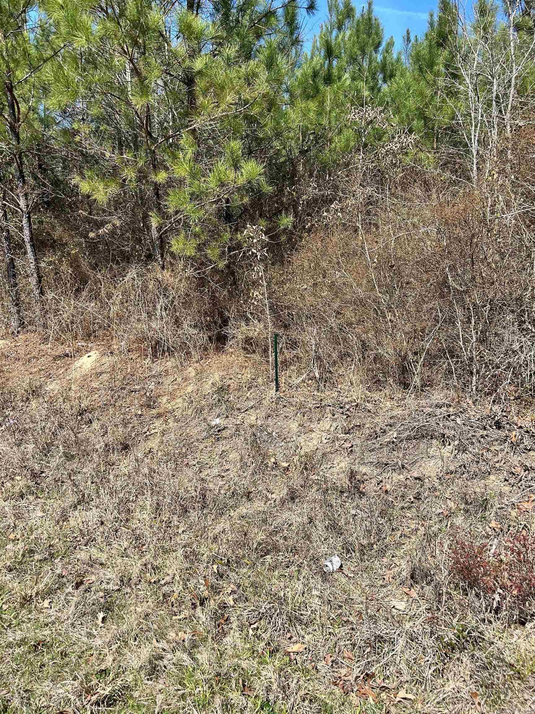 Dunkeffie Property Photo 12